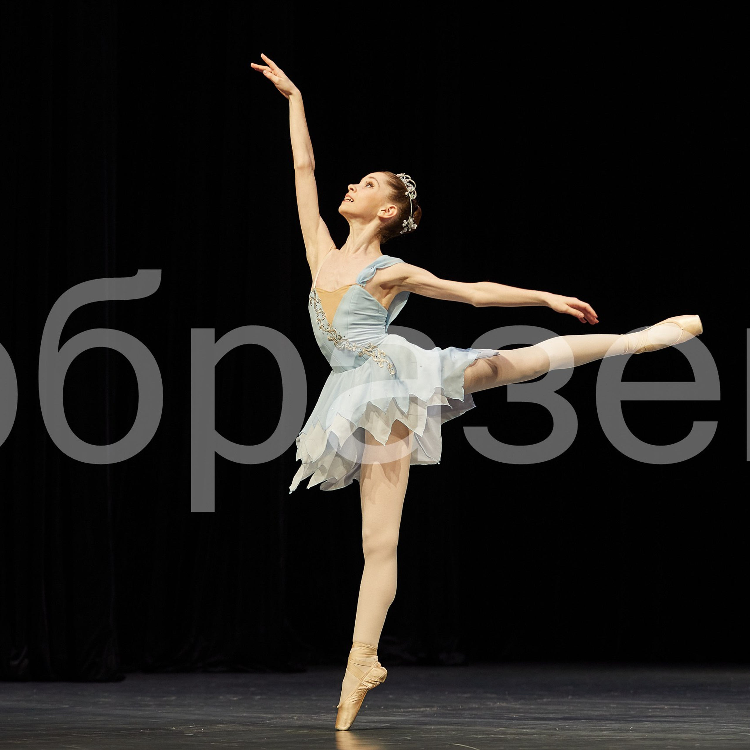 София-Русь фестиваль. Photographer for business Mikhail Semenov. Aqua photo studio, photo school