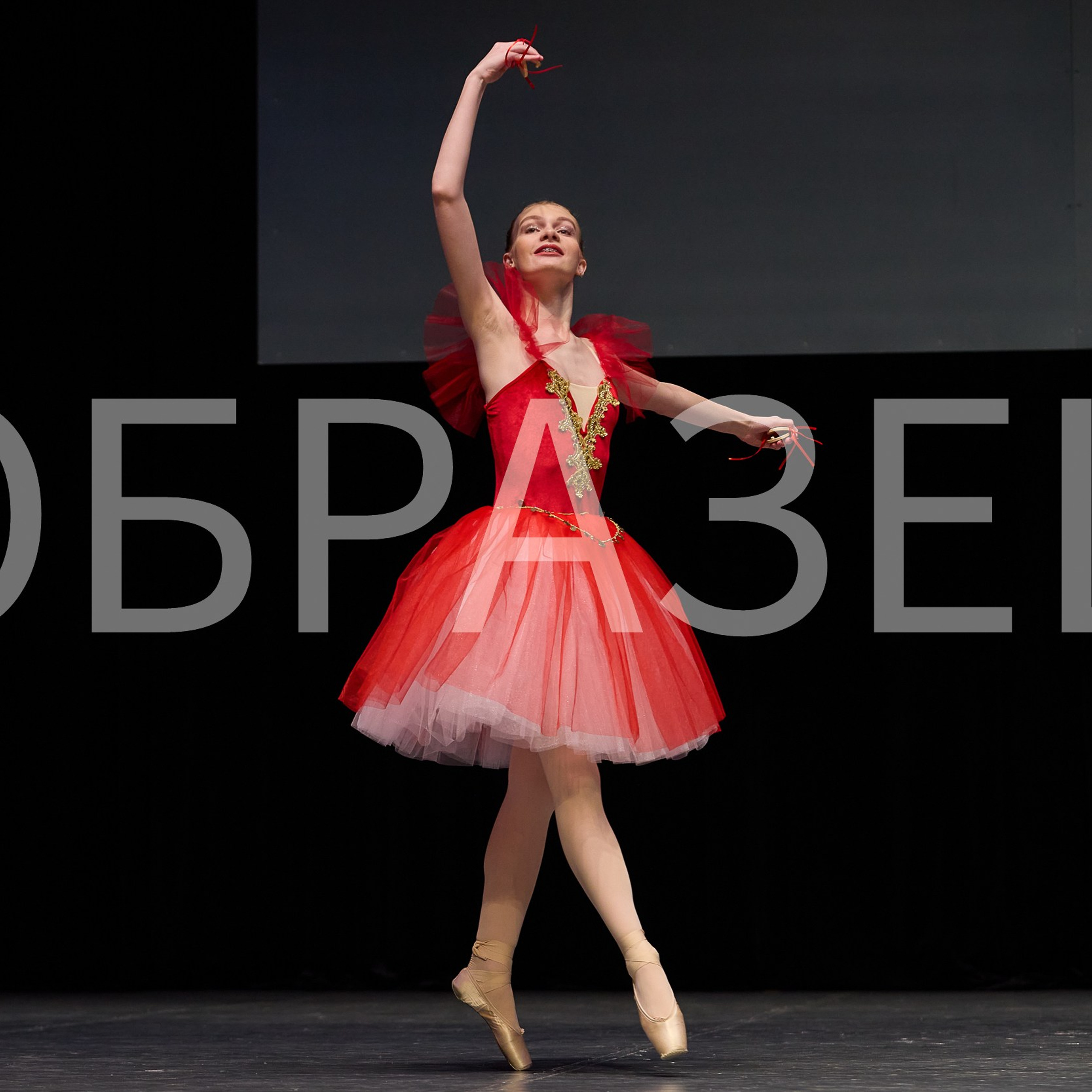 София-Русь фестиваль 2025. Photographer for business Mikhail Semenov. Aqua photo studio, photo school