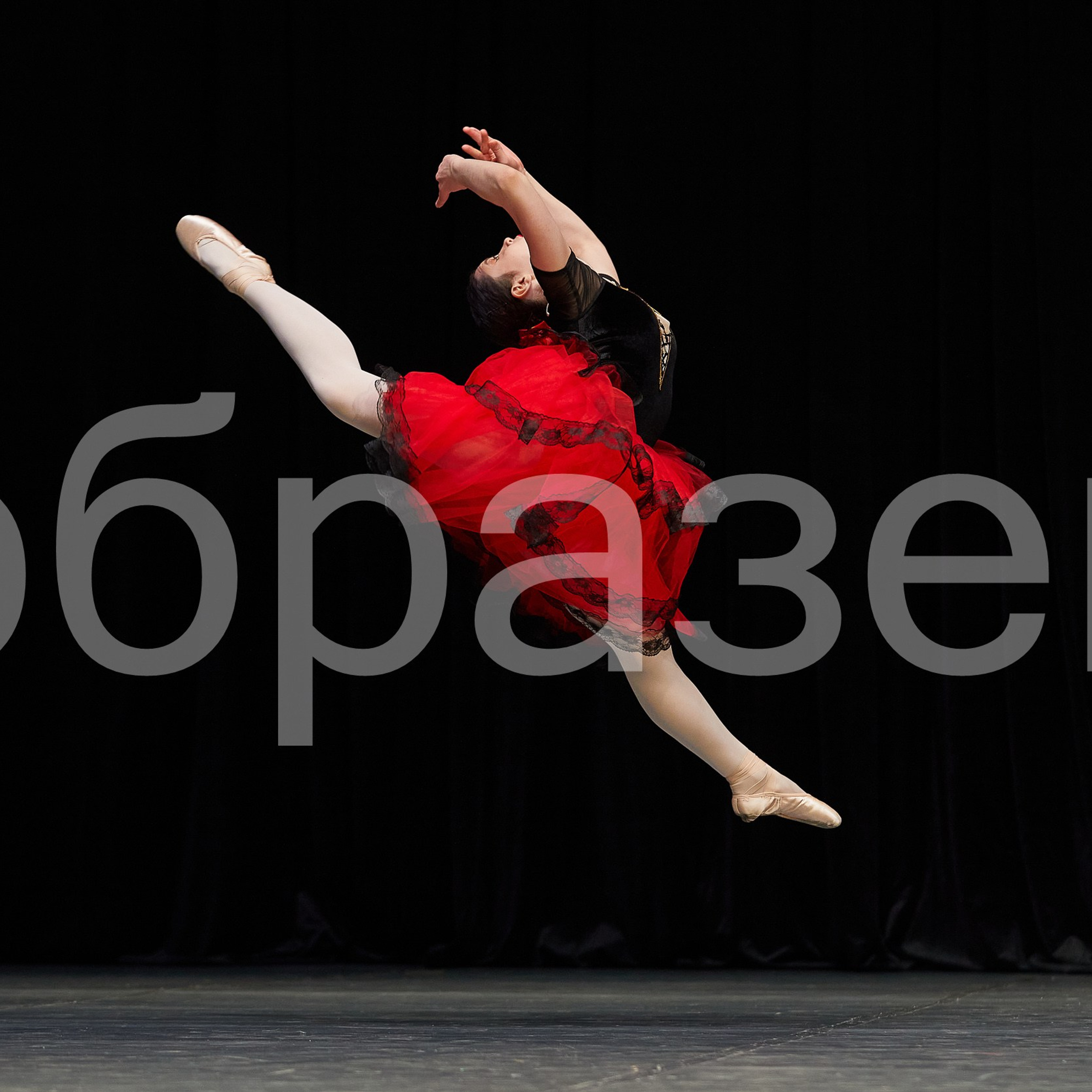 София-Русь фестиваль. Photographer for business Mikhail Semenov. Aqua photo studio, photo school