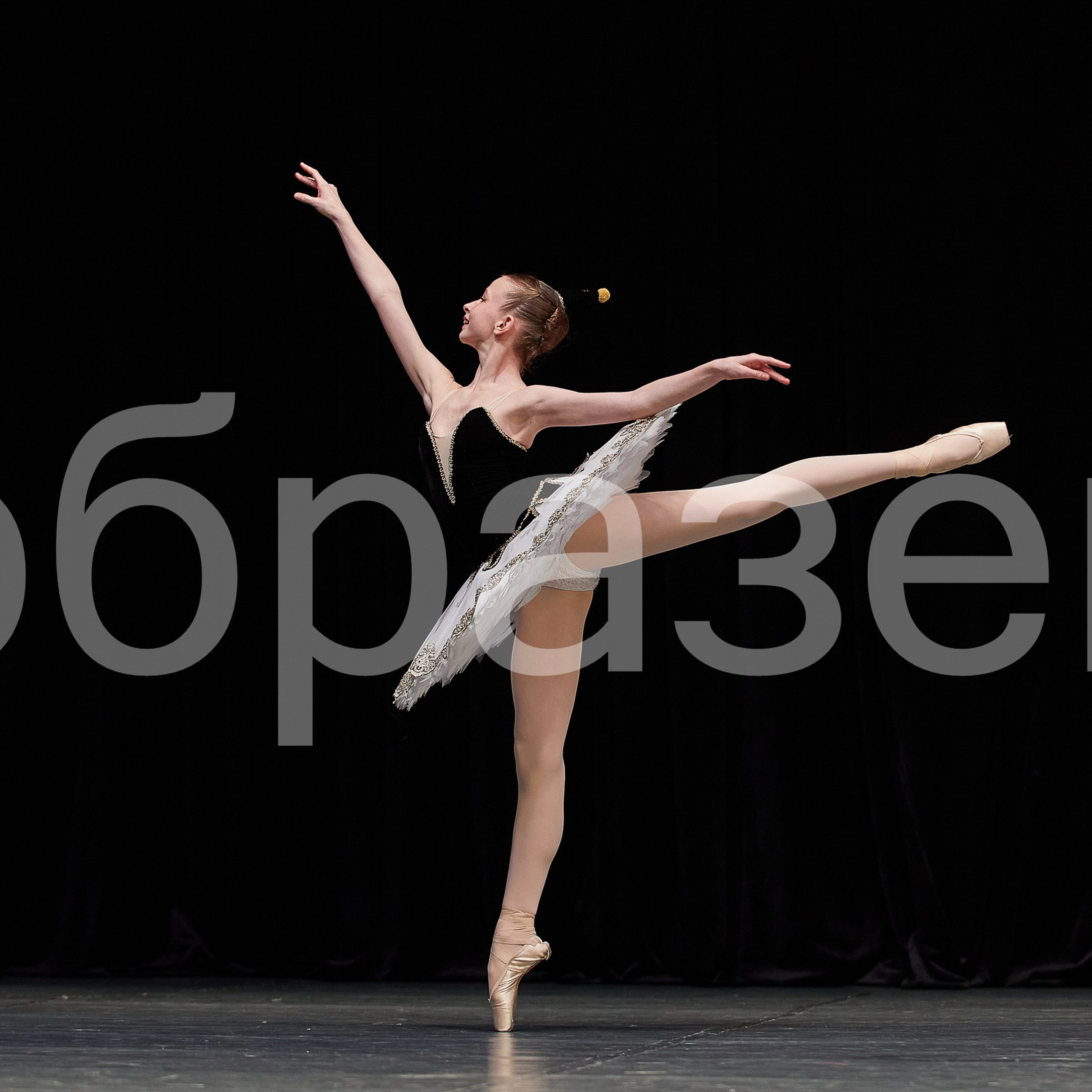 София-Русь фестиваль. Photographer for business Mikhail Semenov. Aqua photo studio, photo school