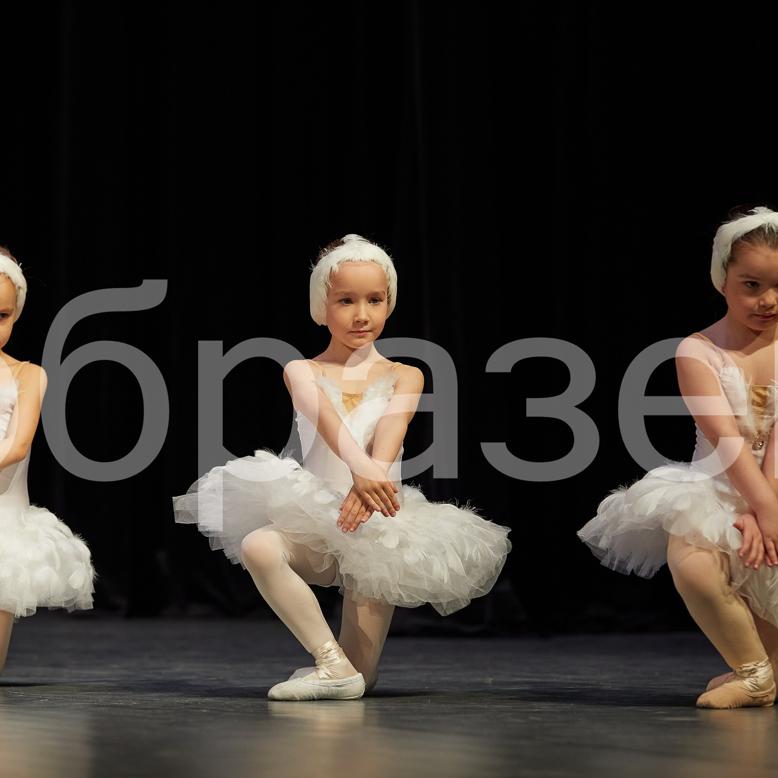 София-Русь фестиваль. Photographer for business Mikhail Semenov. Aqua photo studio, photo school