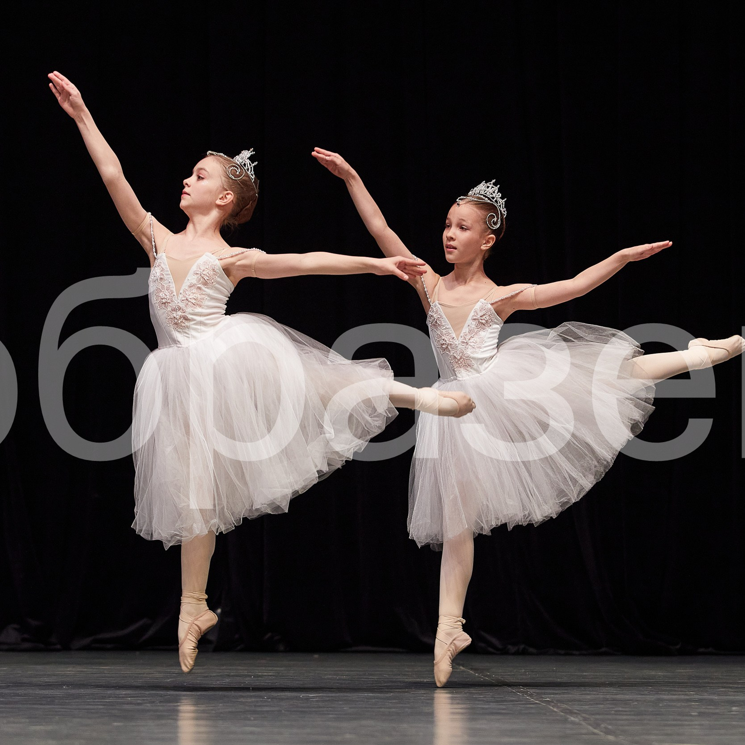 София-Русь фестиваль. Photographer for business Mikhail Semenov. Aqua photo studio, photo school