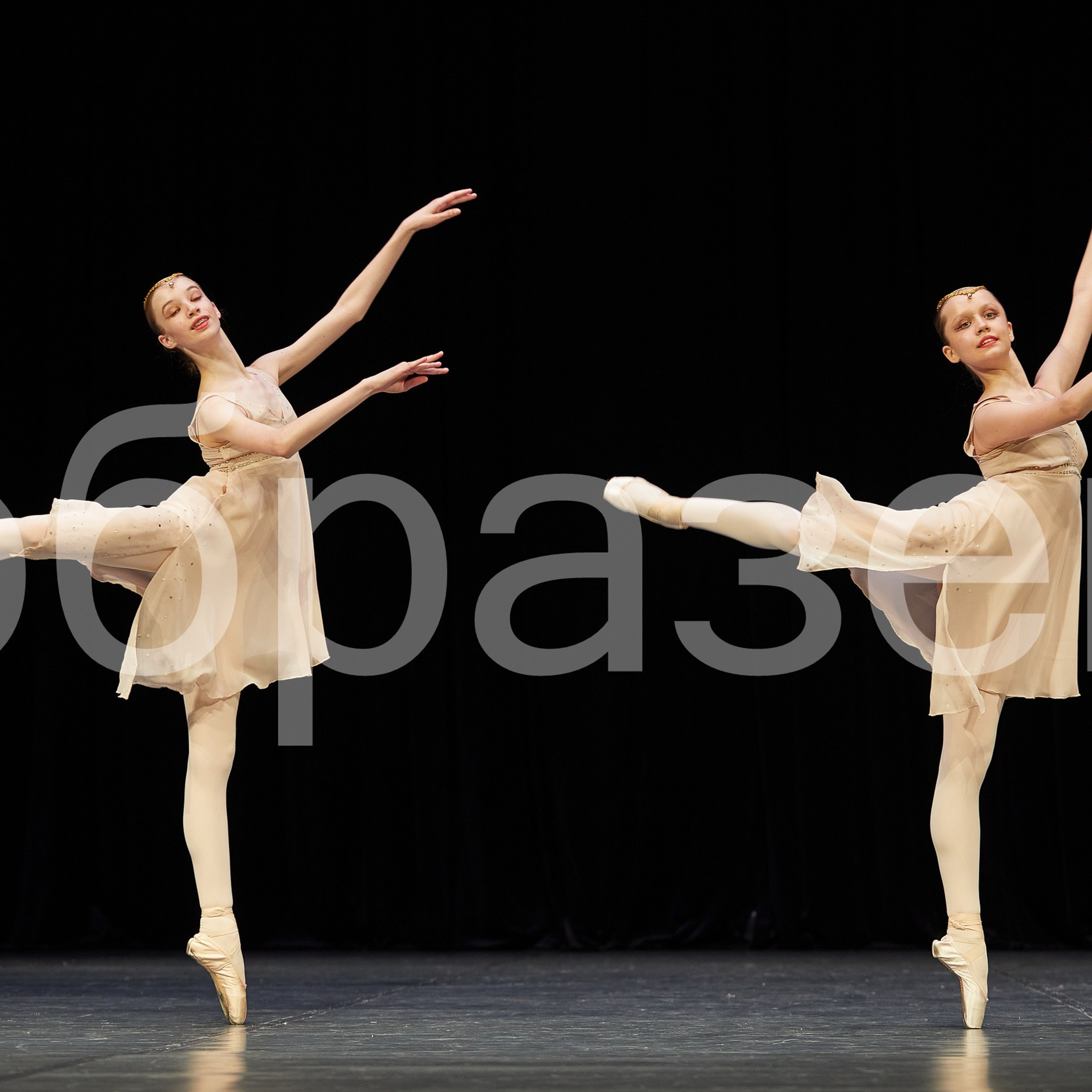 София-Русь фестиваль. Photographer for business Mikhail Semenov. Aqua photo studio, photo school