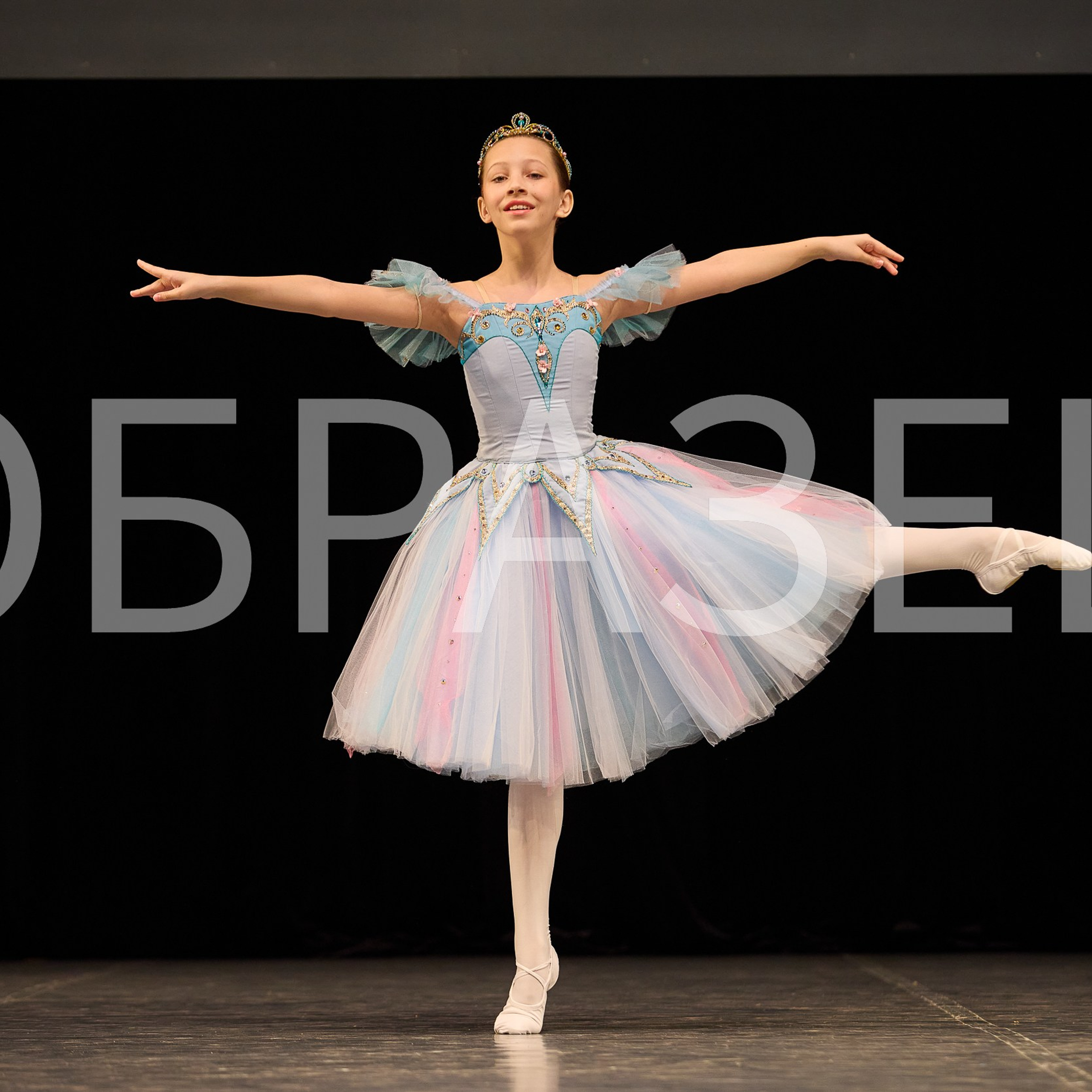 София-Русь фестиваль 2025. Photographer for business Mikhail Semenov. Aqua photo studio, photo school