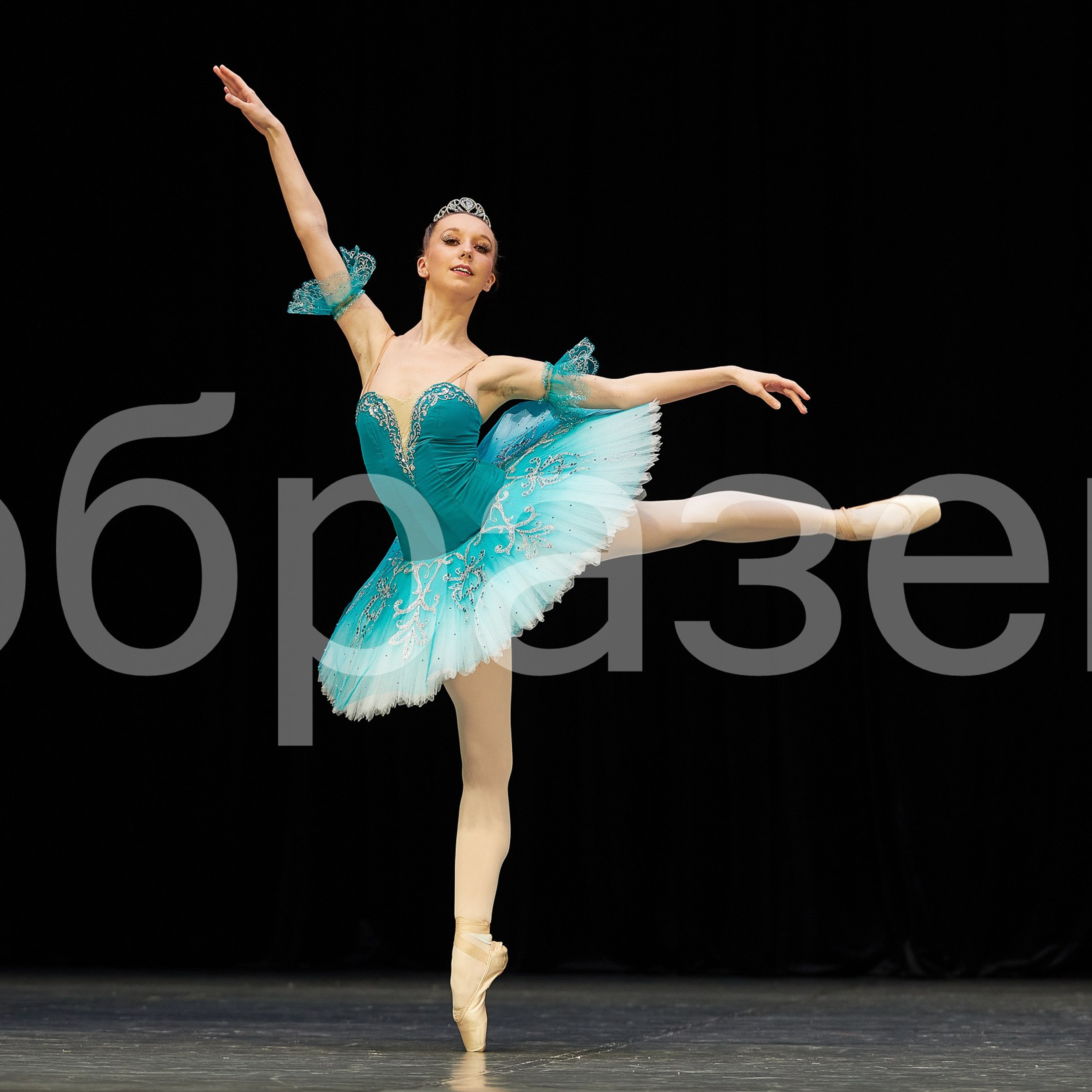 София-Русь фестиваль. Photographer for business Mikhail Semenov. Aqua photo studio, photo school