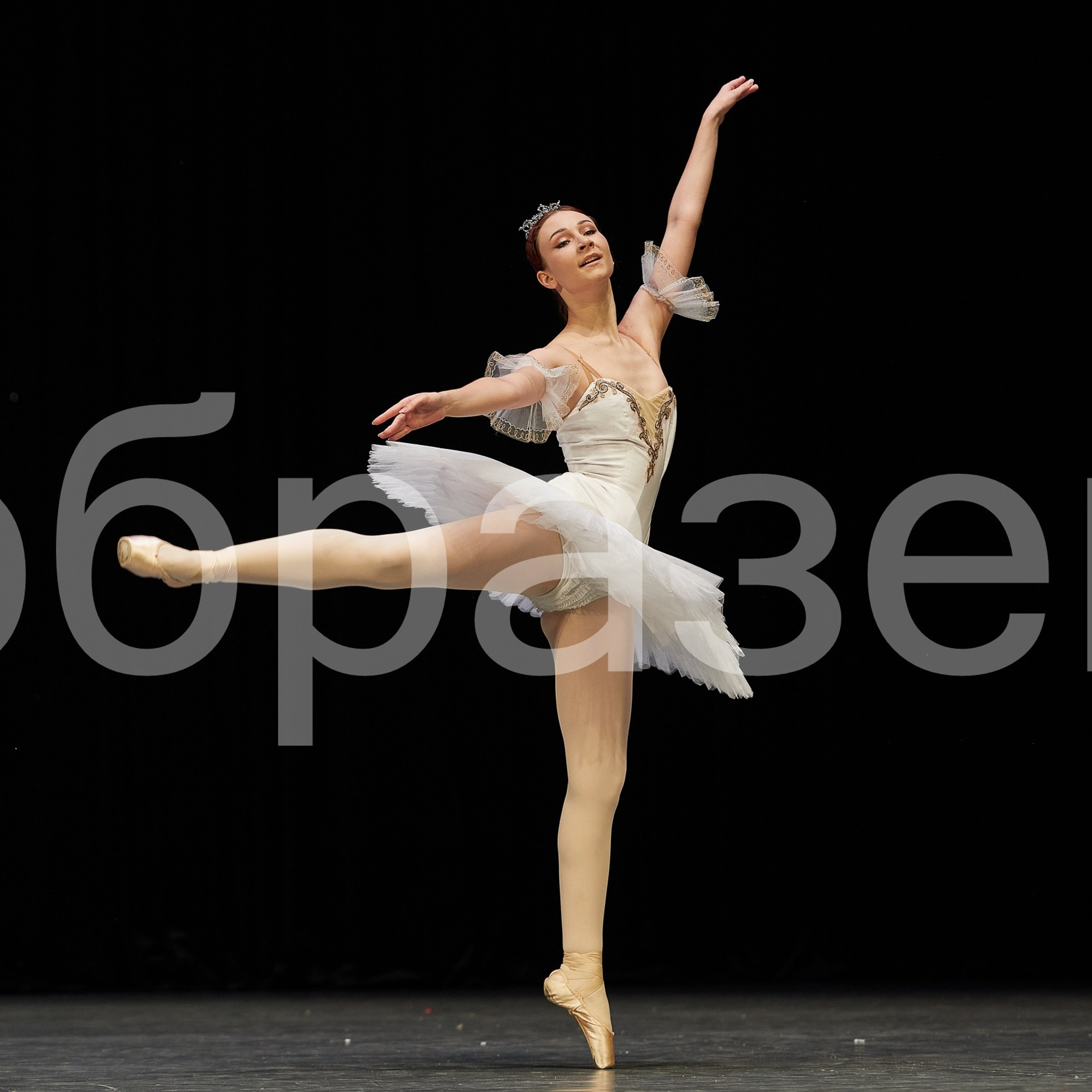 София-Русь фестиваль. Photographer for business Mikhail Semenov. Aqua photo studio, photo school