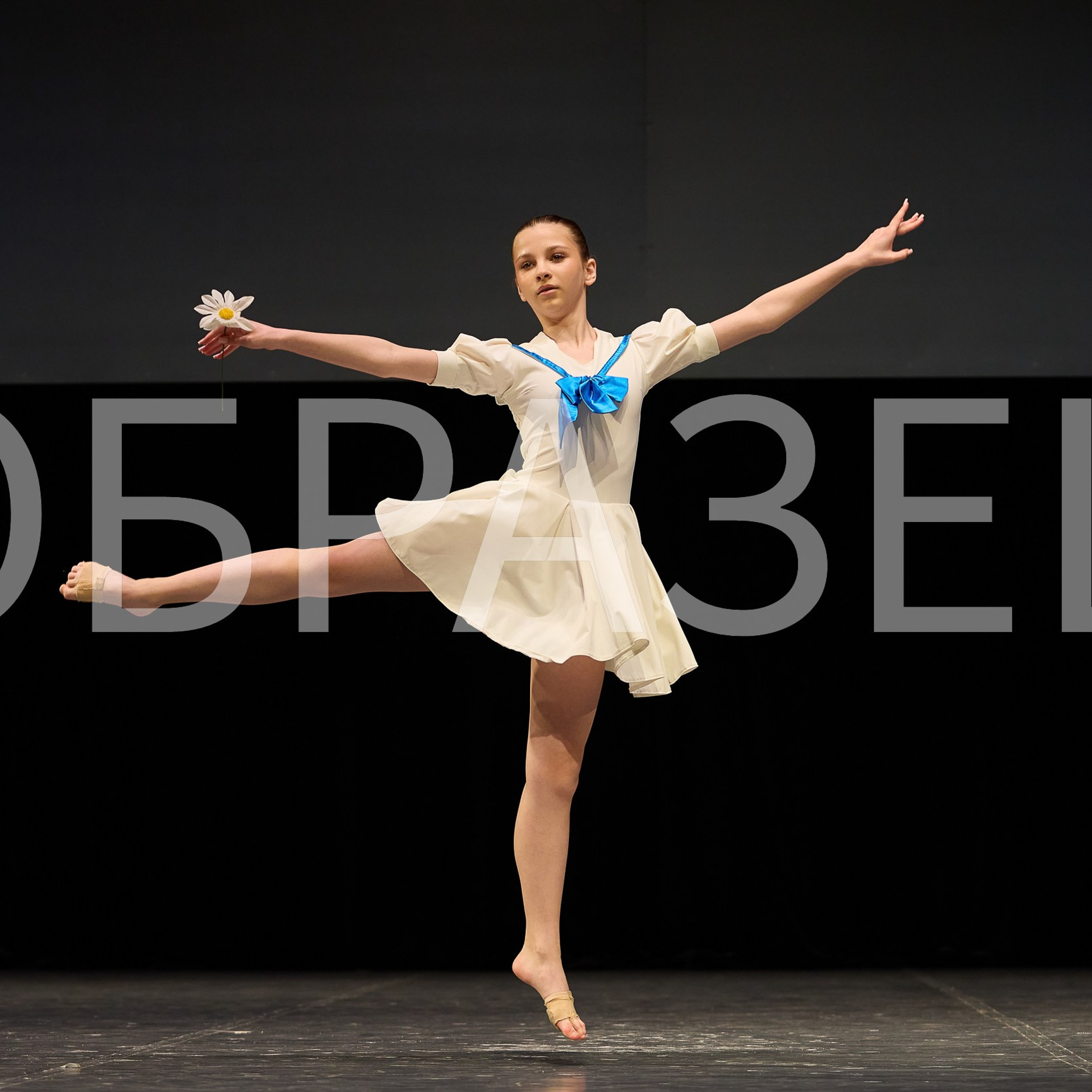 София-Русь фестиваль 2025. Photographer for business Mikhail Semenov. Aqua photo studio, photo school