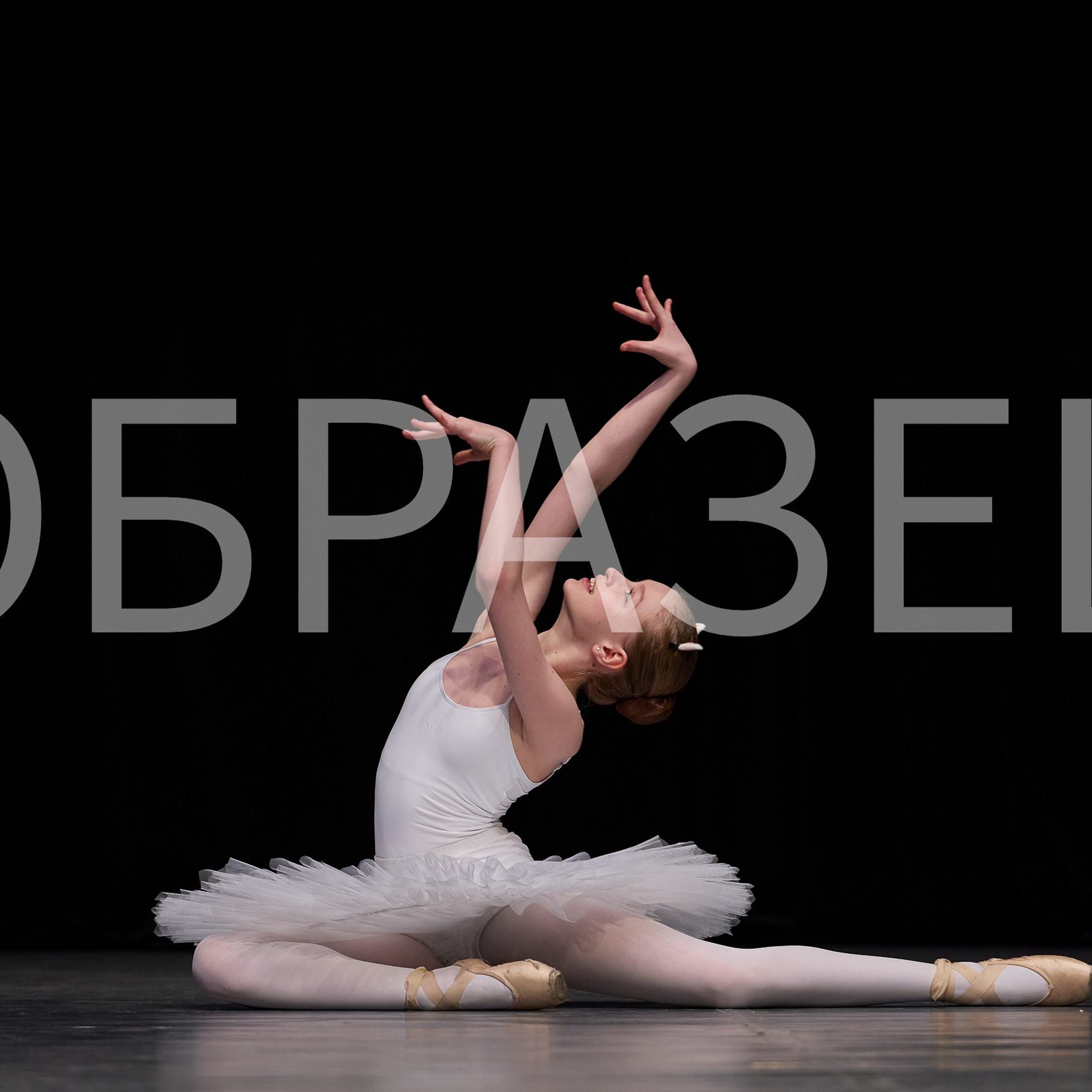 София-Русь фестиваль 2025. Photographer for business Mikhail Semenov. Aqua photo studio, photo school