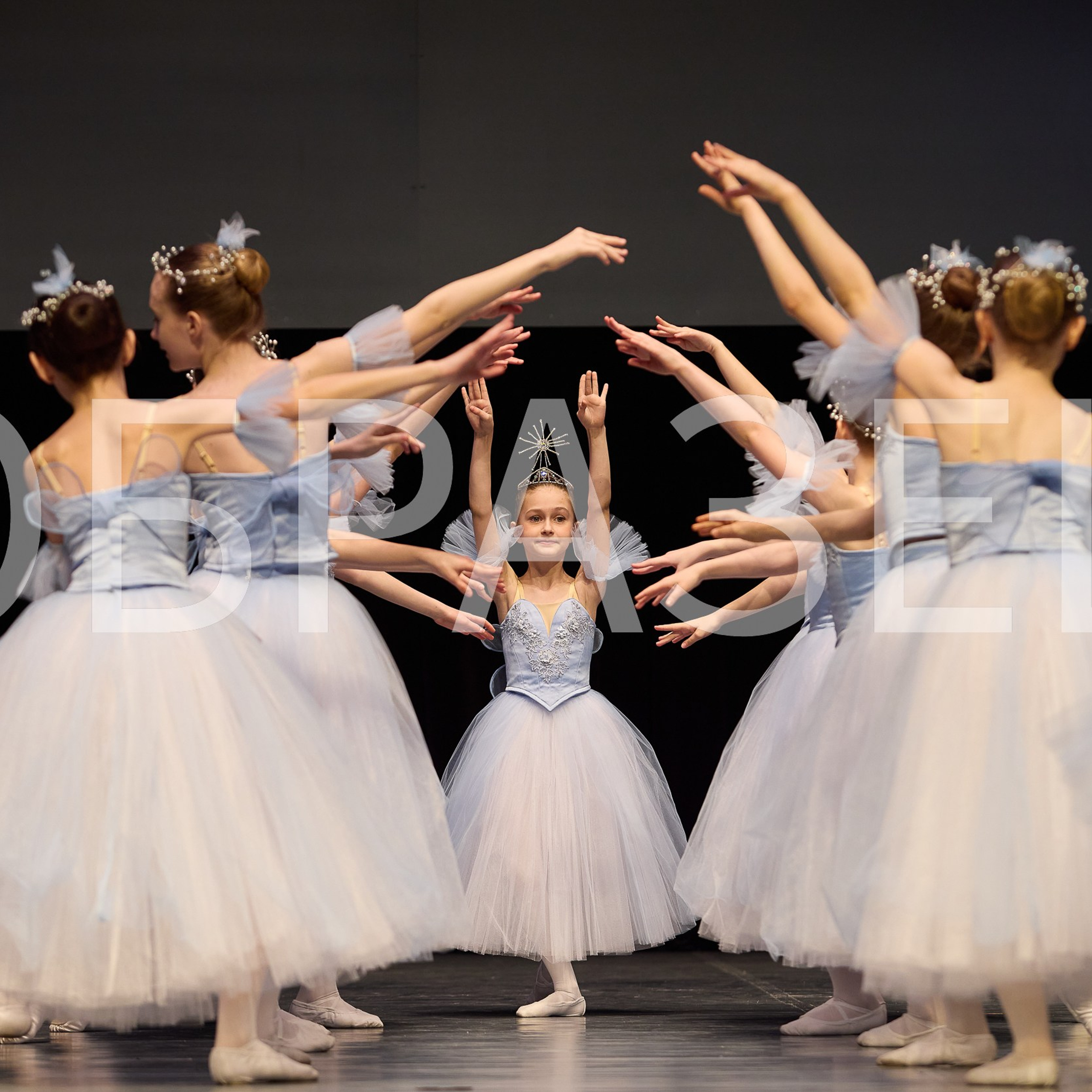 София-Русь фестиваль 2025. Photographer for business Mikhail Semenov. Aqua photo studio, photo school