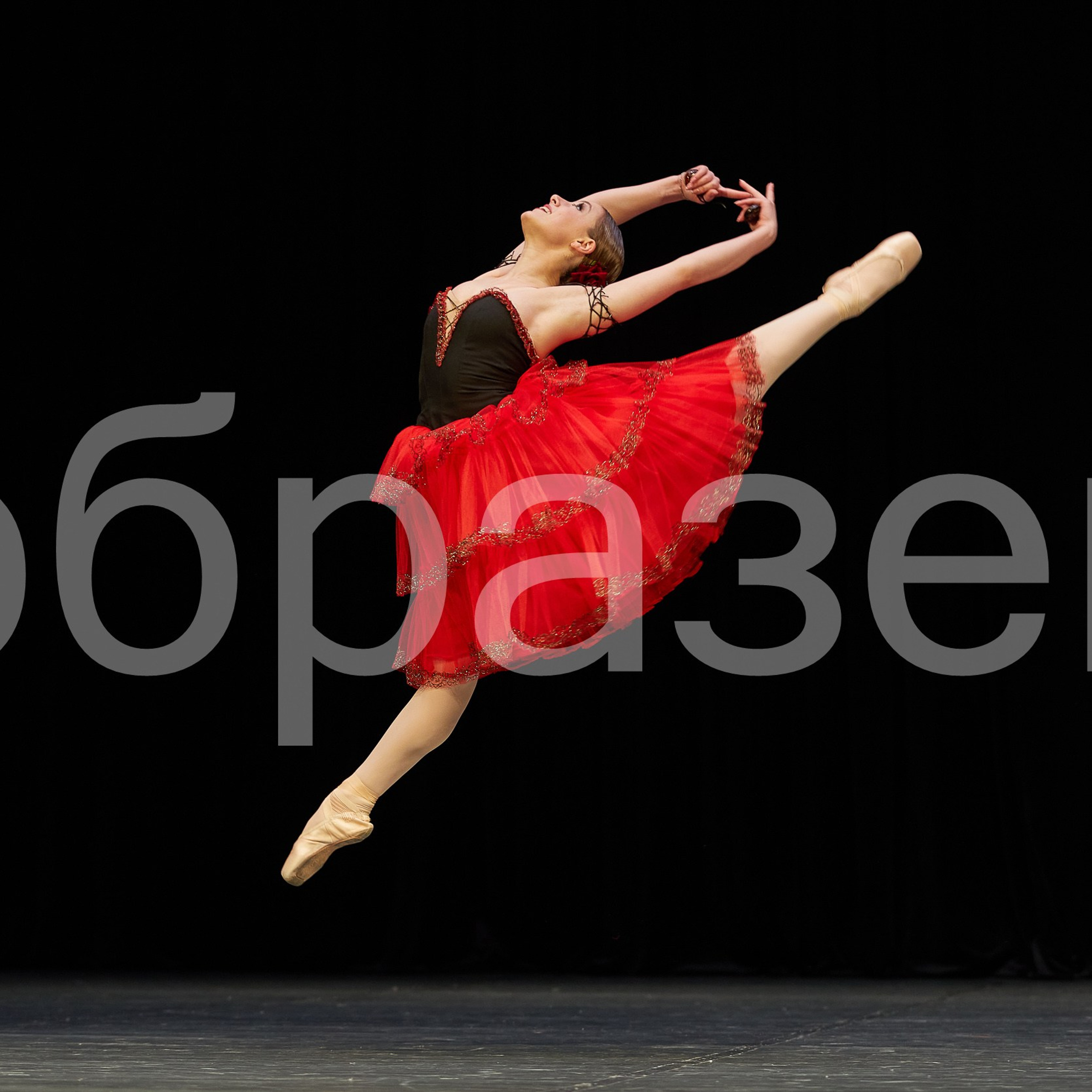 София-Русь фестиваль. Photographer for business Mikhail Semenov. Aqua photo studio, photo school