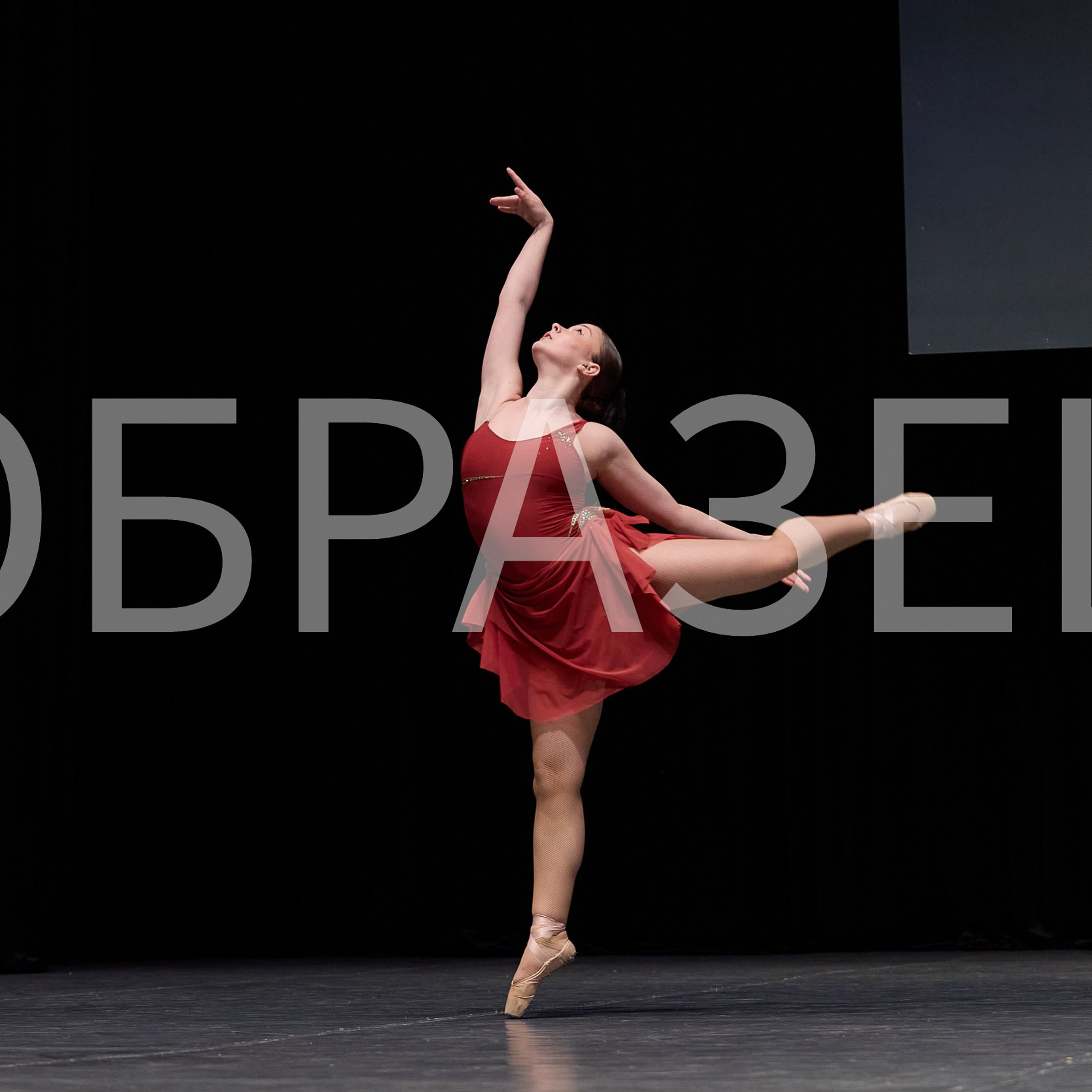 София-Русь фестиваль 2025. Photographer for business Mikhail Semenov. Aqua photo studio, photo school