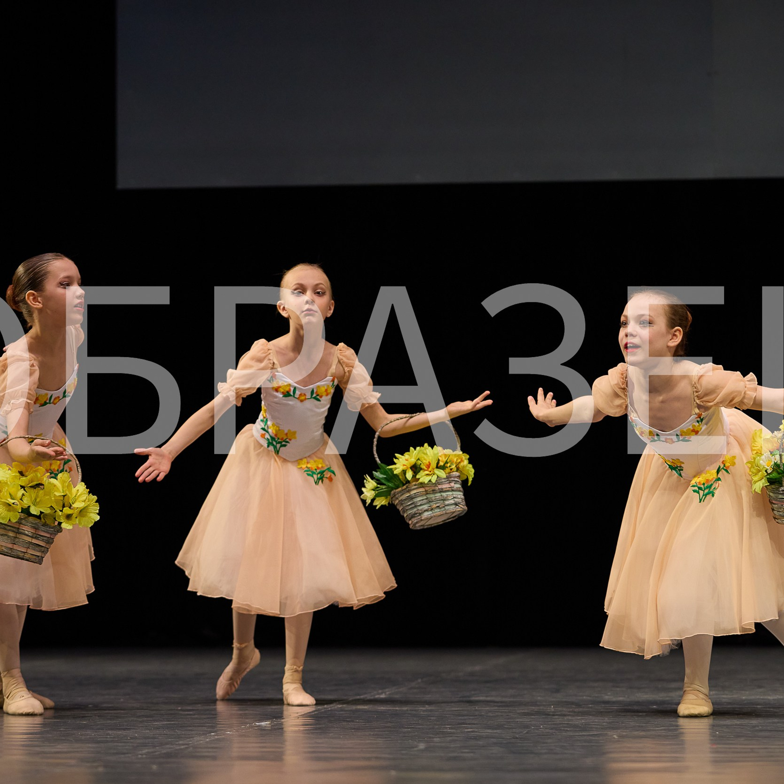 София-Русь фестиваль 2025. Photographer for business Mikhail Semenov. Aqua photo studio, photo school