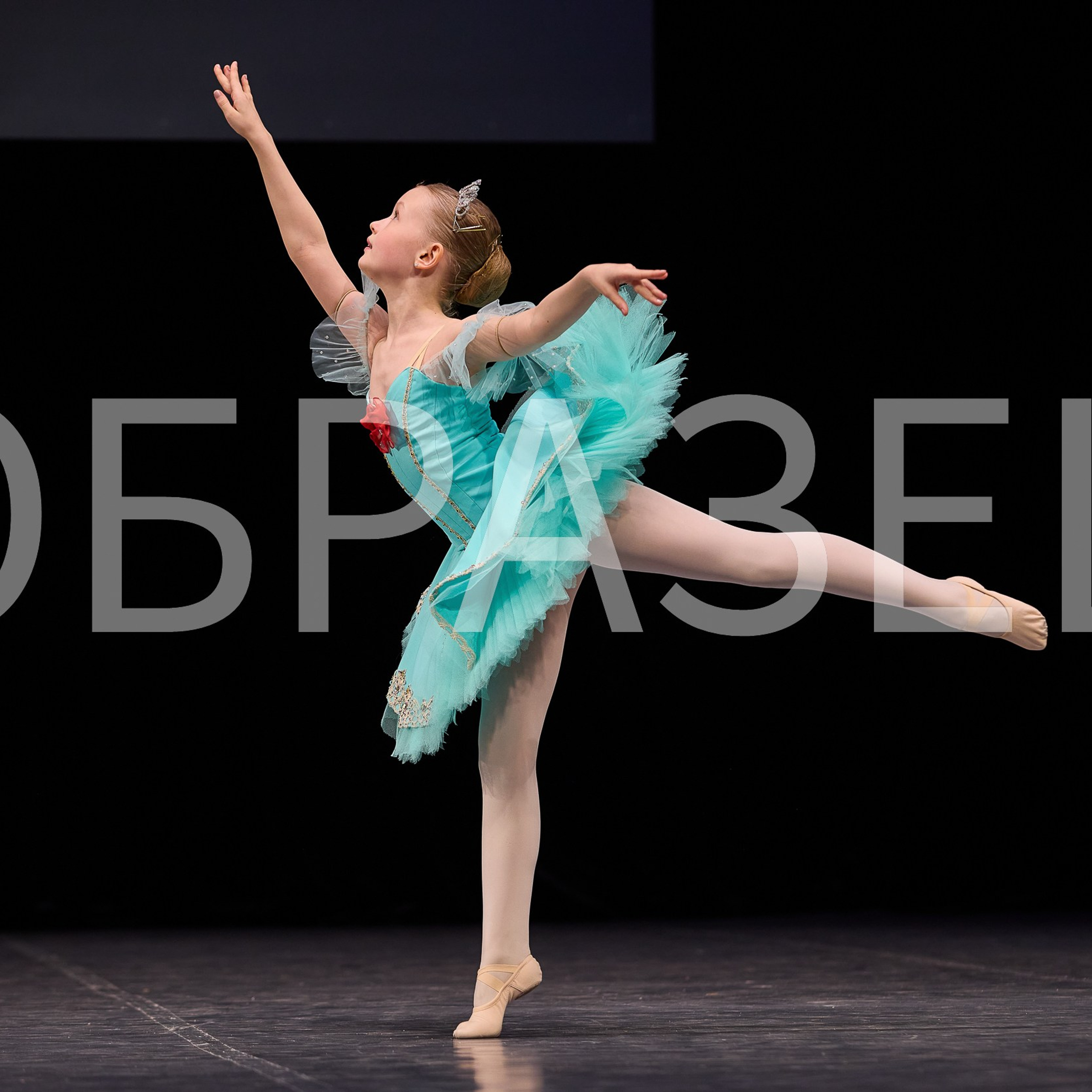 София-Русь фестиваль 2025. Photographer for business Mikhail Semenov. Aqua photo studio, photo school