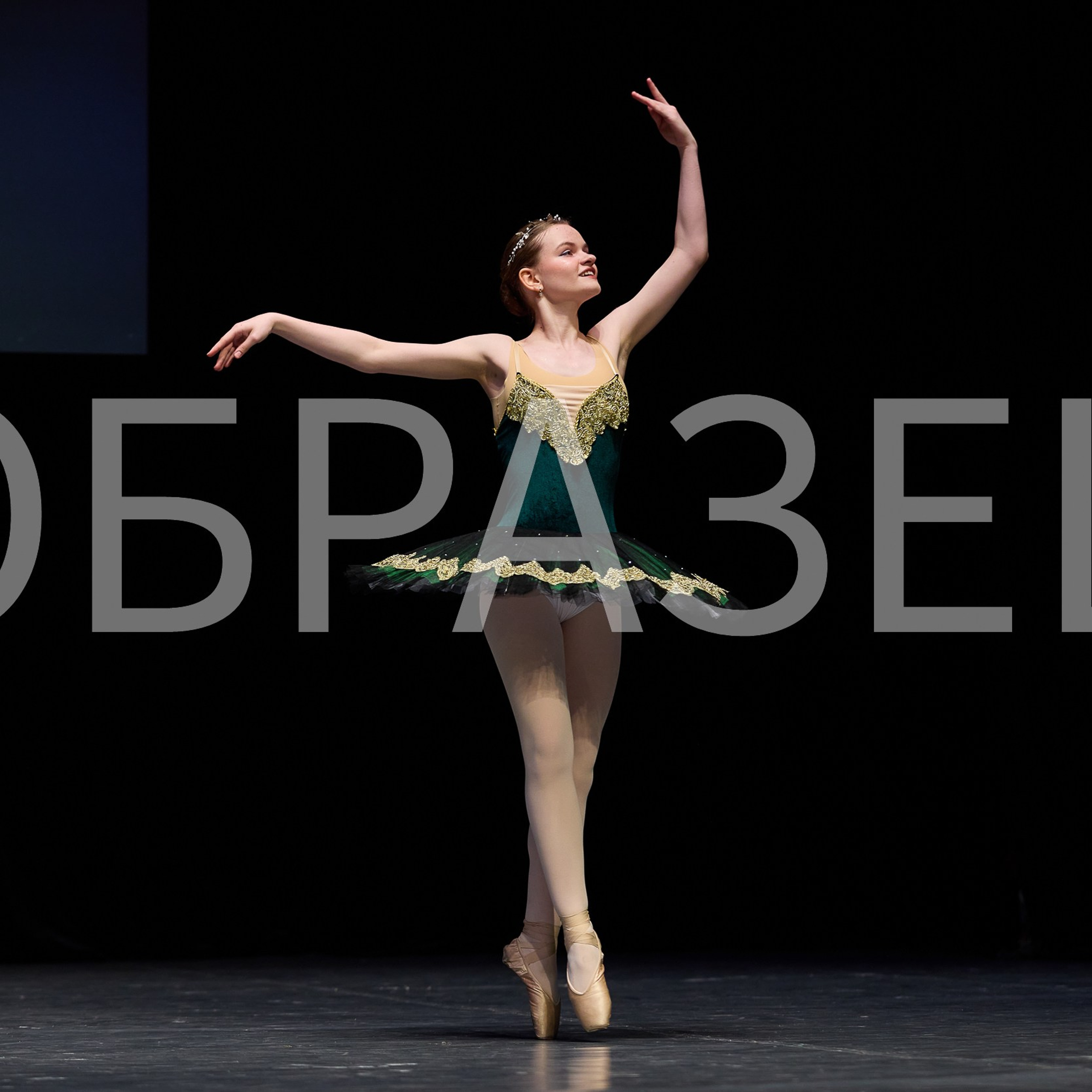 София-Русь фестиваль 2025. Photographer for business Mikhail Semenov. Aqua photo studio, photo school