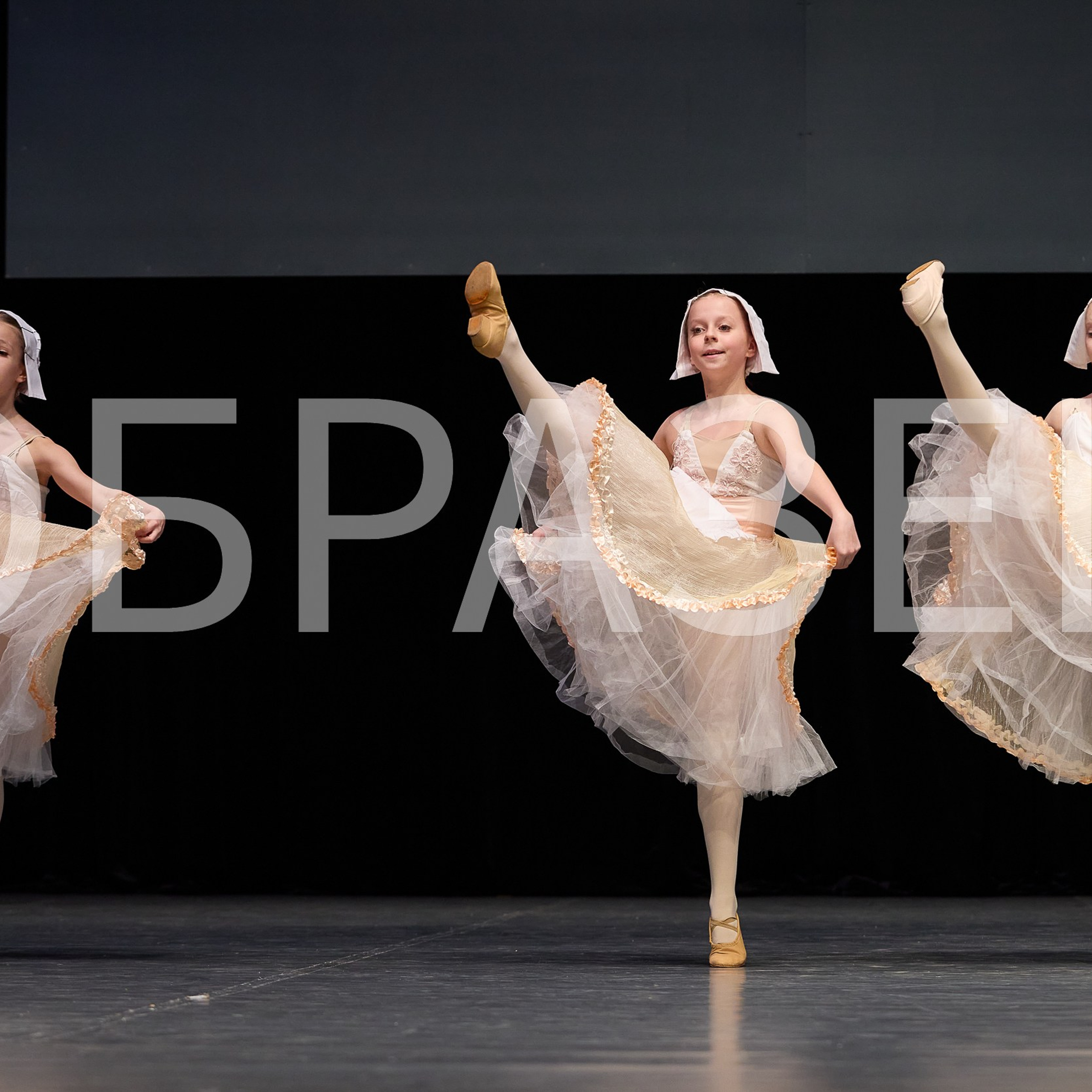 София-Русь фестиваль 2025. Photographer for business Mikhail Semenov. Aqua photo studio, photo school