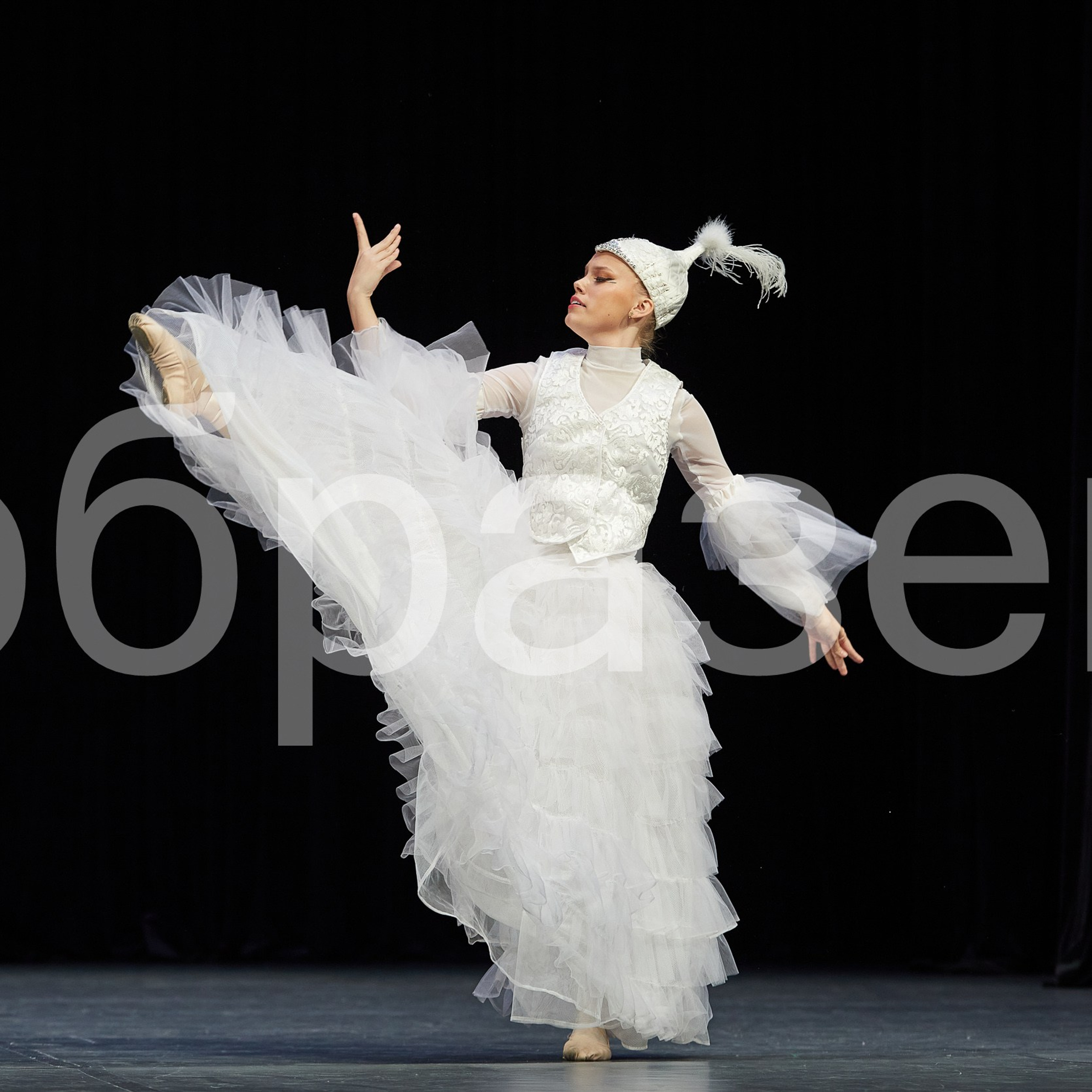 София-Русь фестиваль. Photographer for business Mikhail Semenov. Aqua photo studio, photo school