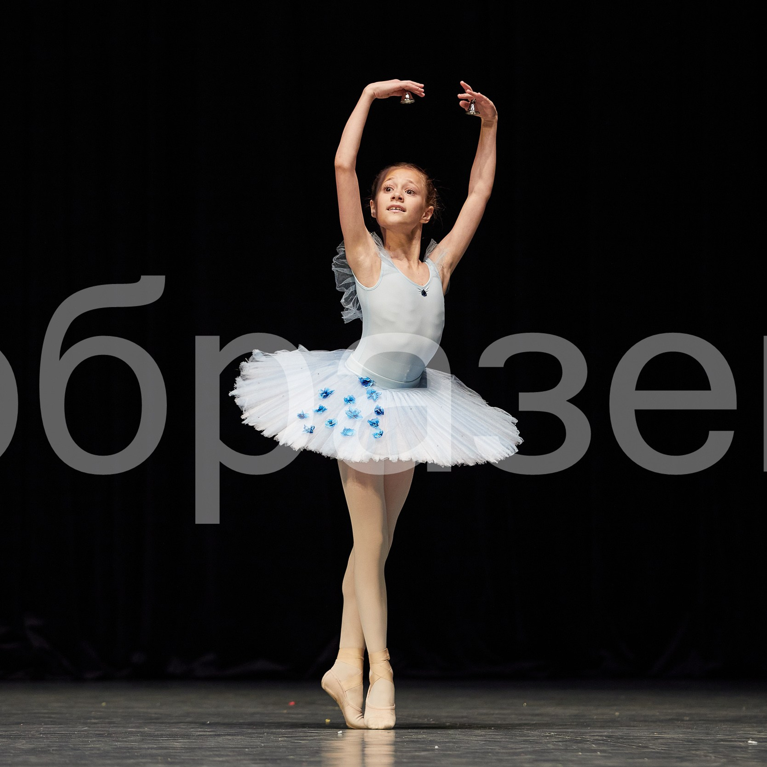 София-Русь фестиваль. Photographer for business Mikhail Semenov. Aqua photo studio, photo school