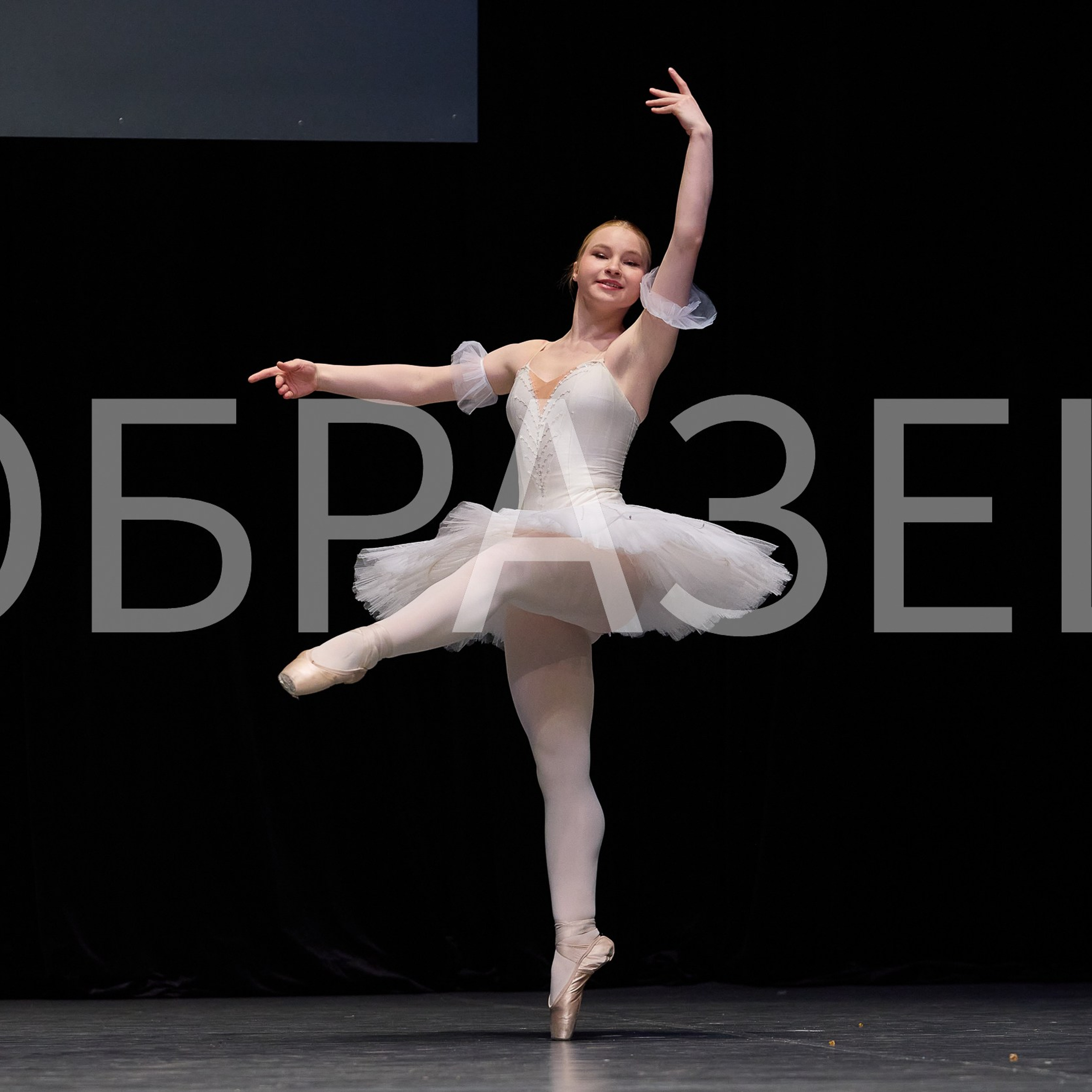 София-Русь фестиваль 2025. Photographer for business Mikhail Semenov. Aqua photo studio, photo school