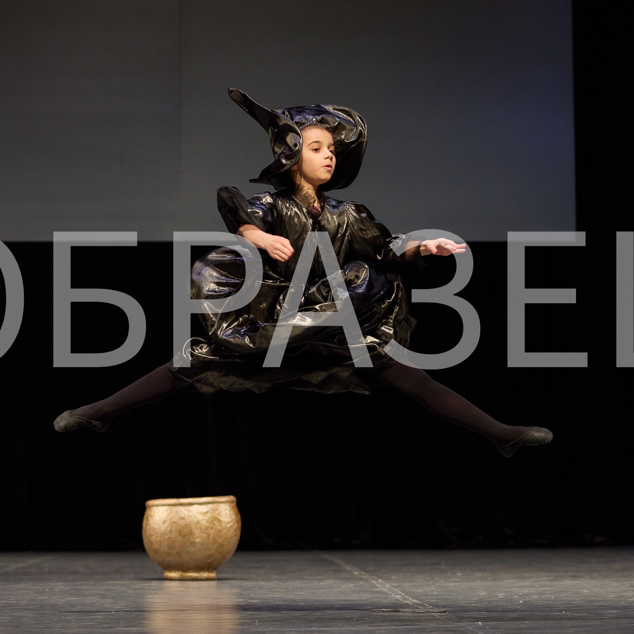 София-Русь фестиваль 2025. Photographer for business Mikhail Semenov. Aqua photo studio, photo school