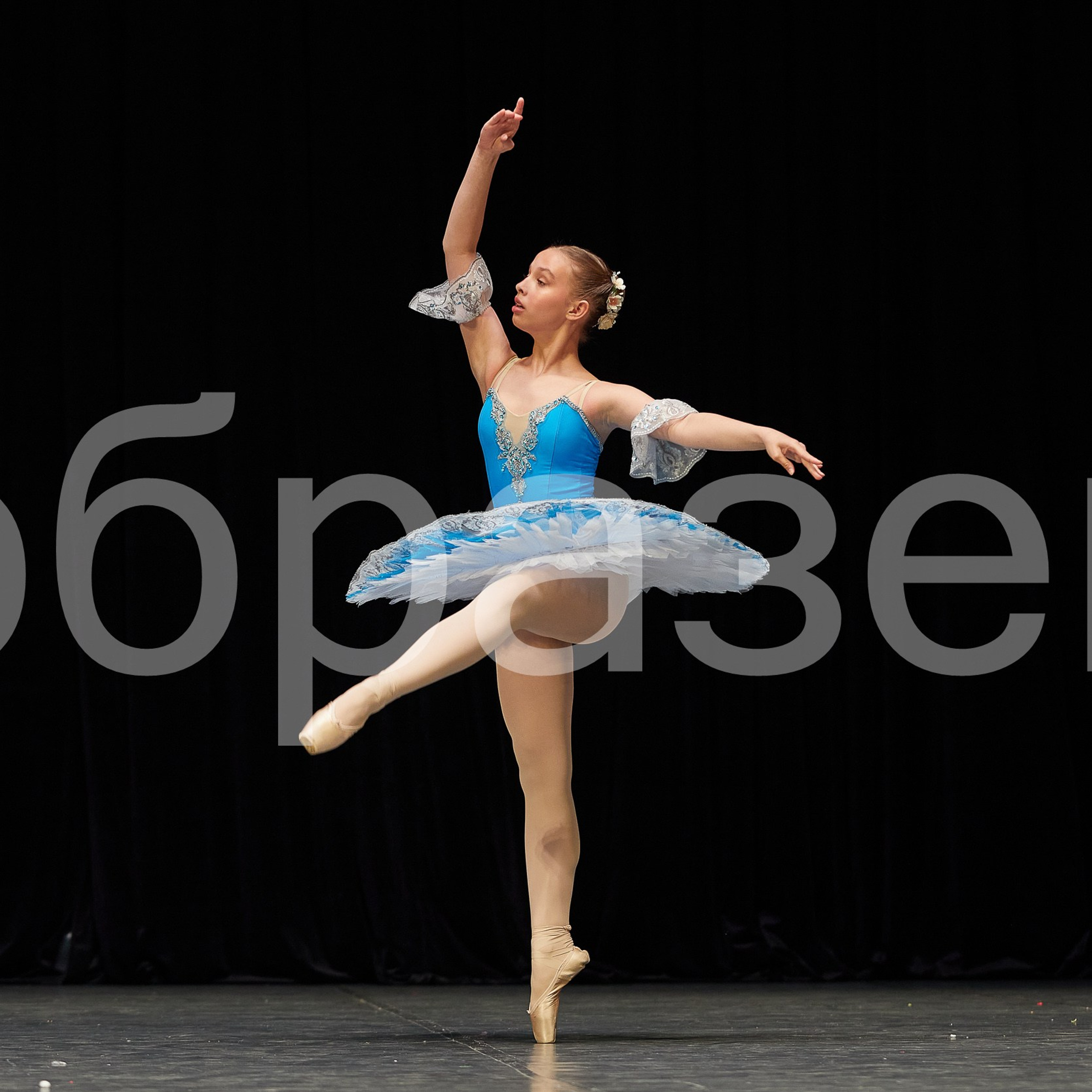 София-Русь фестиваль. Photographer for business Mikhail Semenov. Aqua photo studio, photo school