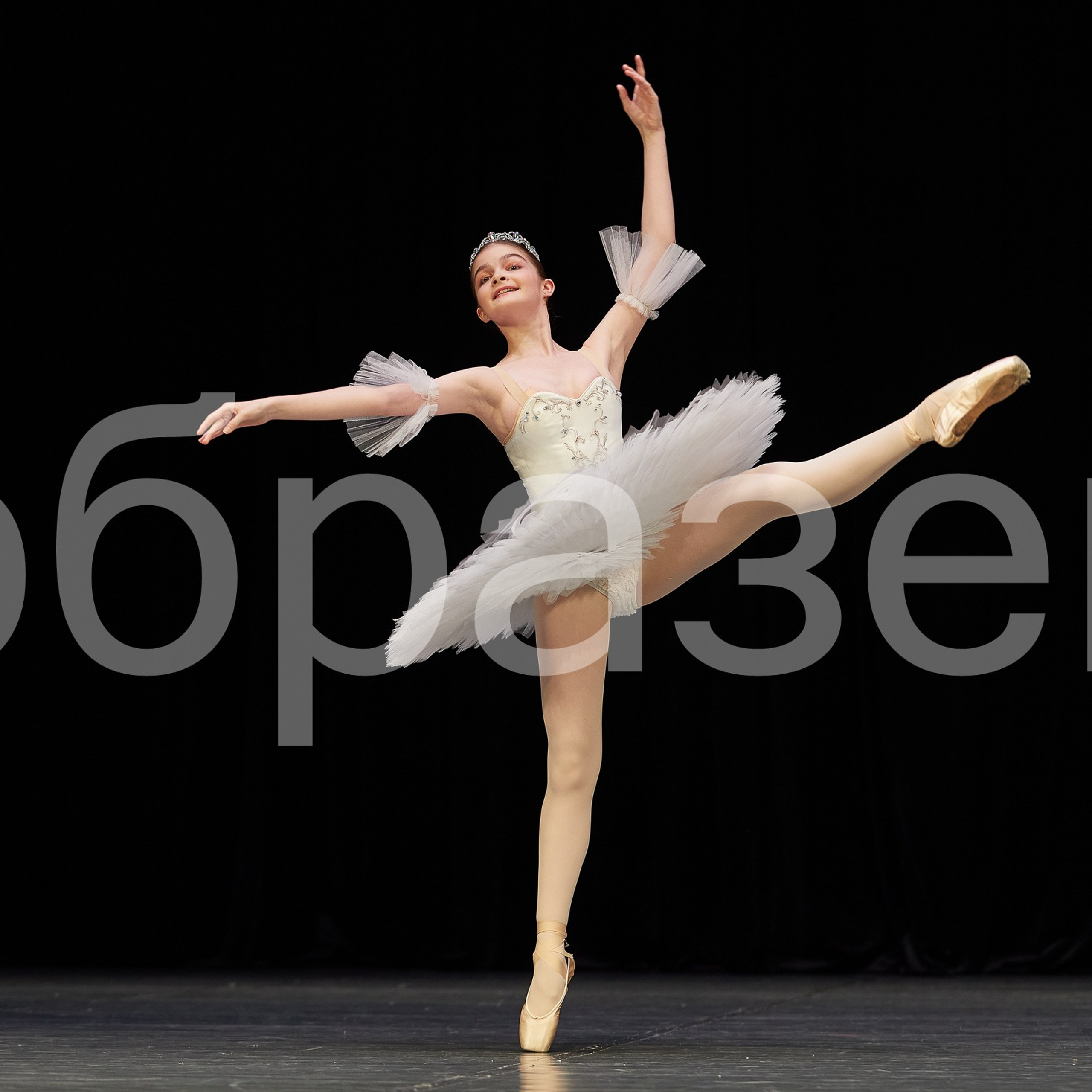 София-Русь фестиваль. Photographer for business Mikhail Semenov. Aqua photo studio, photo school