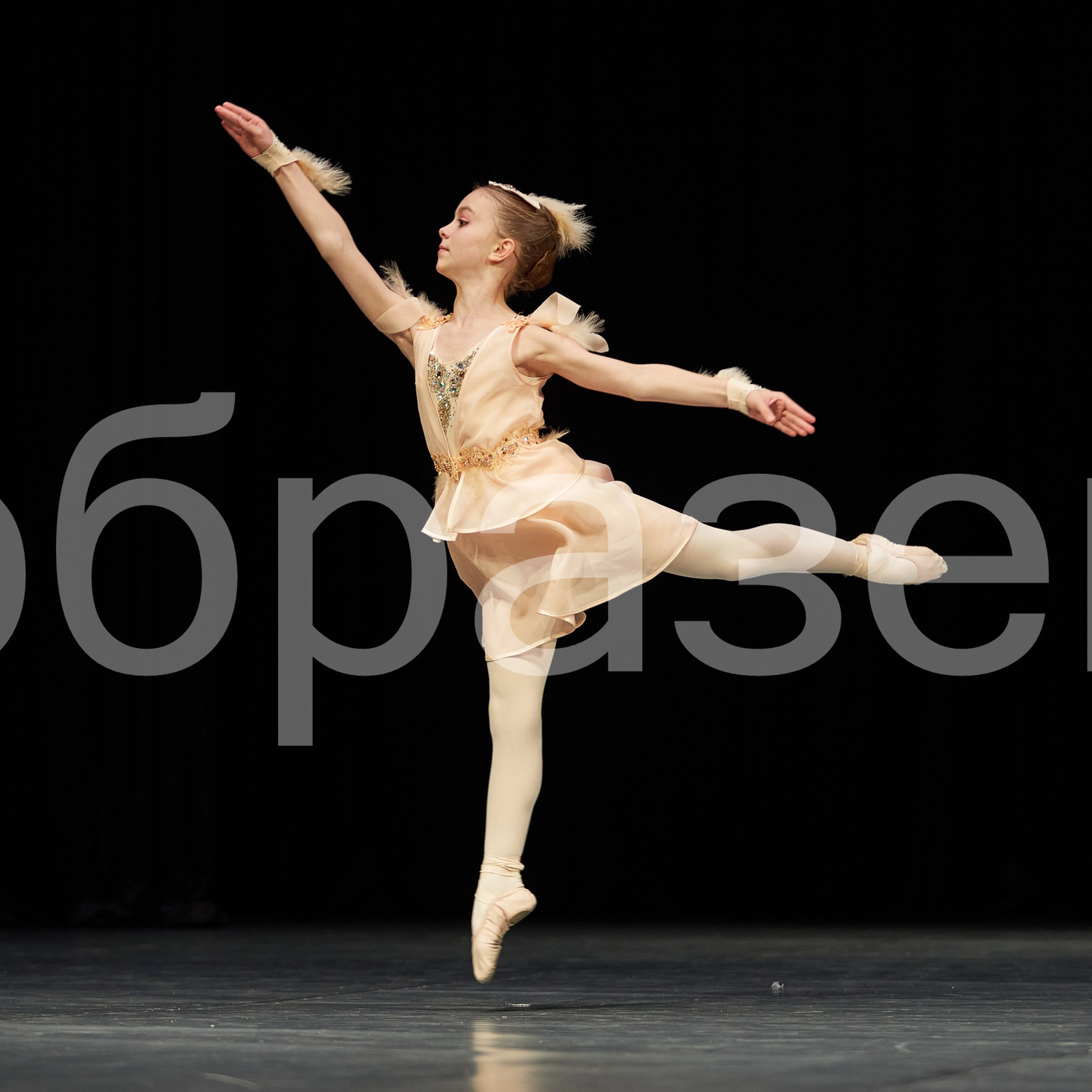 София-Русь фестиваль. Photographer for business Mikhail Semenov. Aqua photo studio, photo school