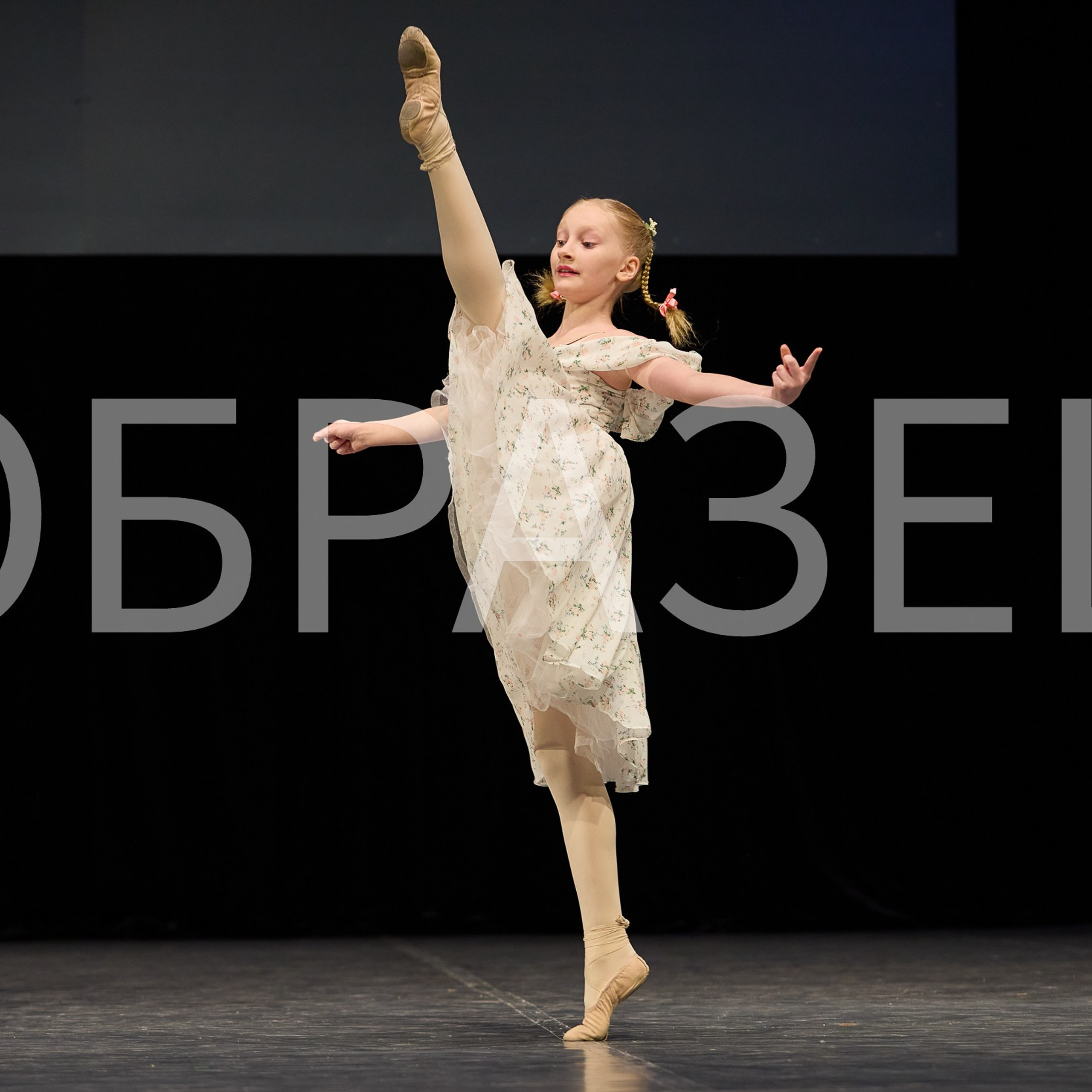 София-Русь фестиваль 2025. Photographer for business Mikhail Semenov. Aqua photo studio, photo school