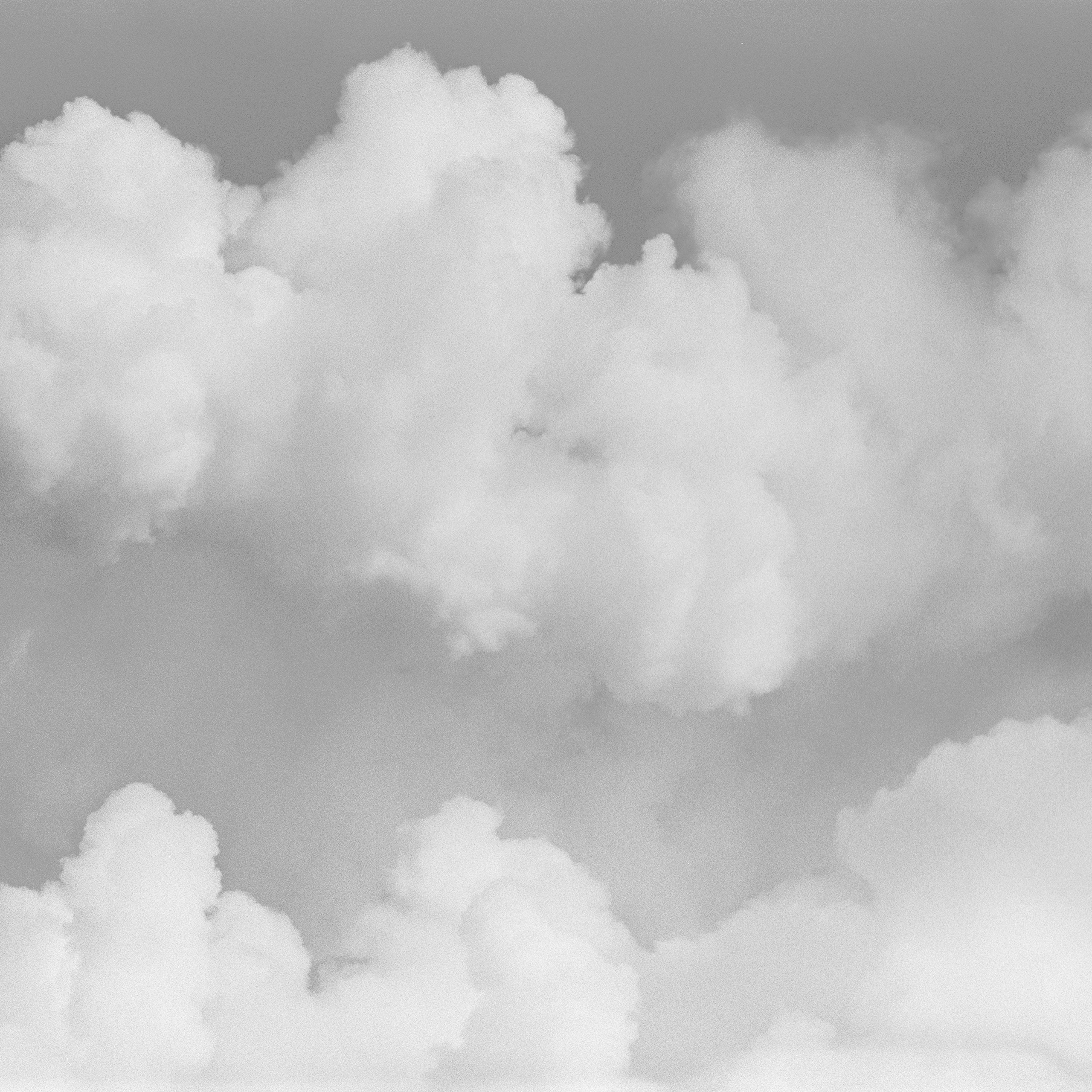 Ex humus. Alexander Nikolsky