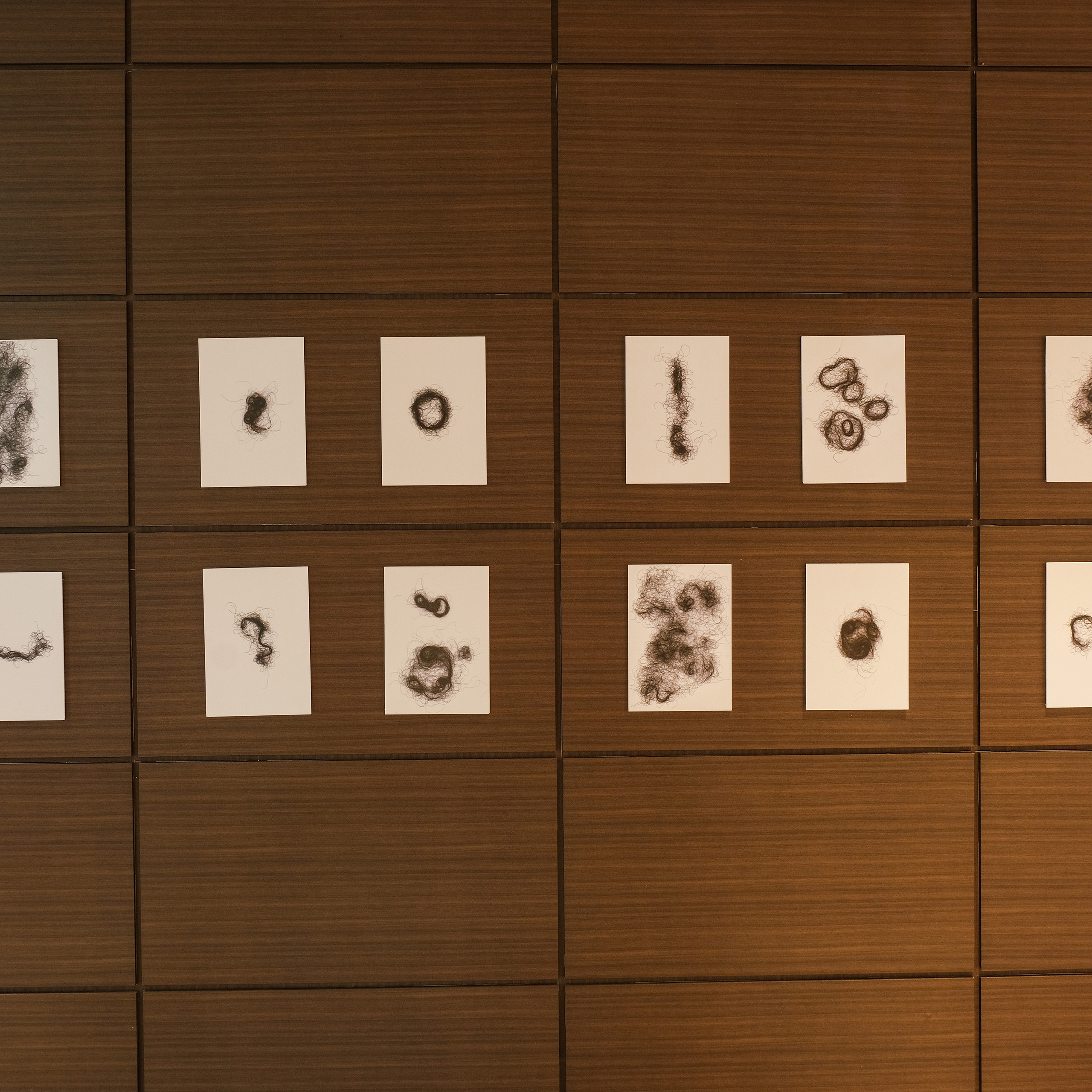 Curatorial. Alexander Nikolsky