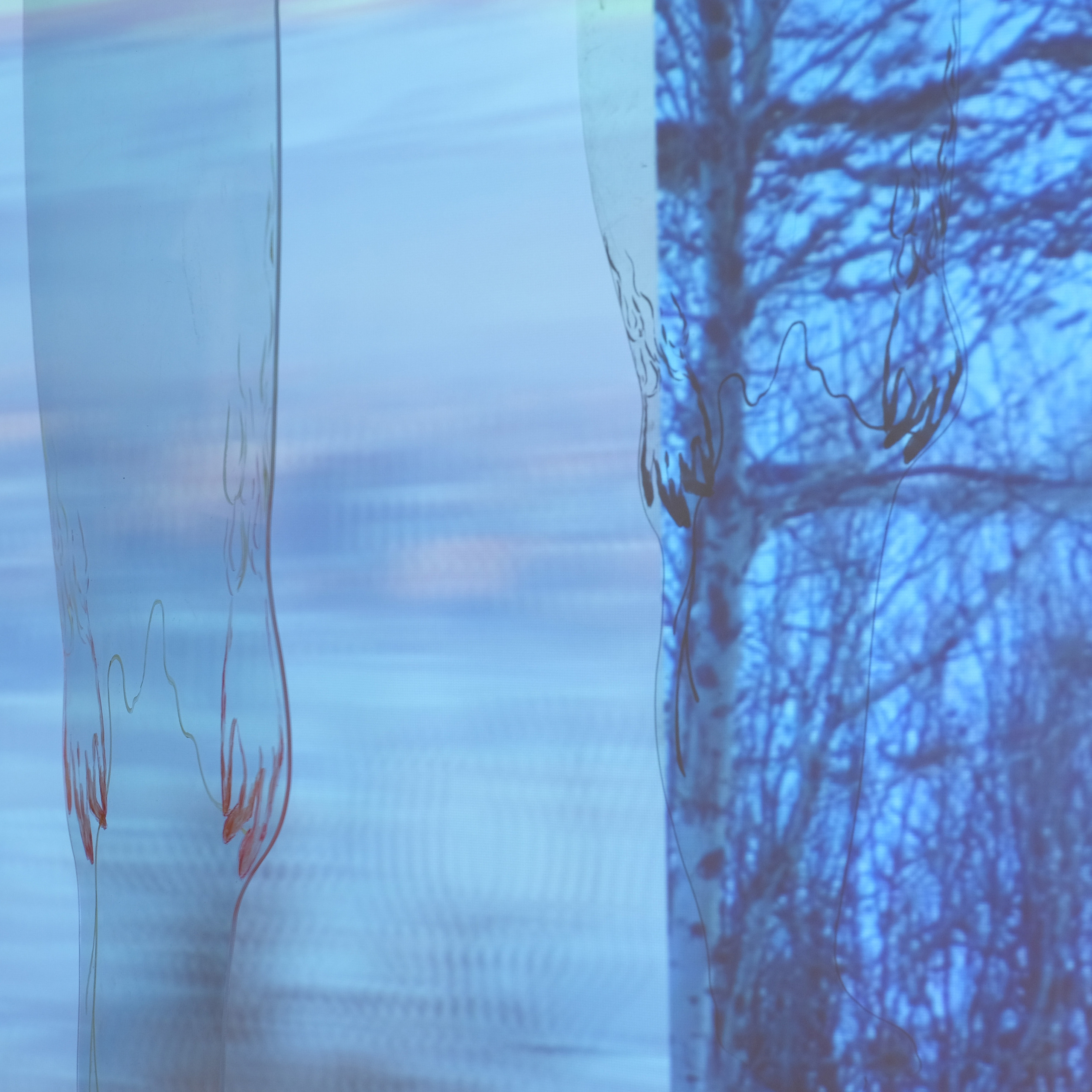 Curatorial. Alexander Nikolsky