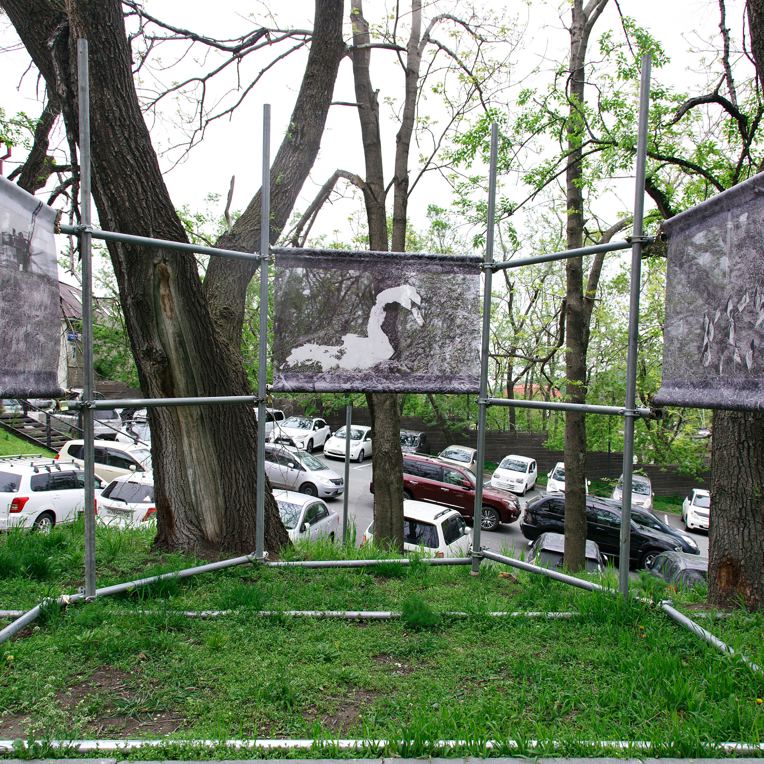 Curatorial. Alexander Nikolsky