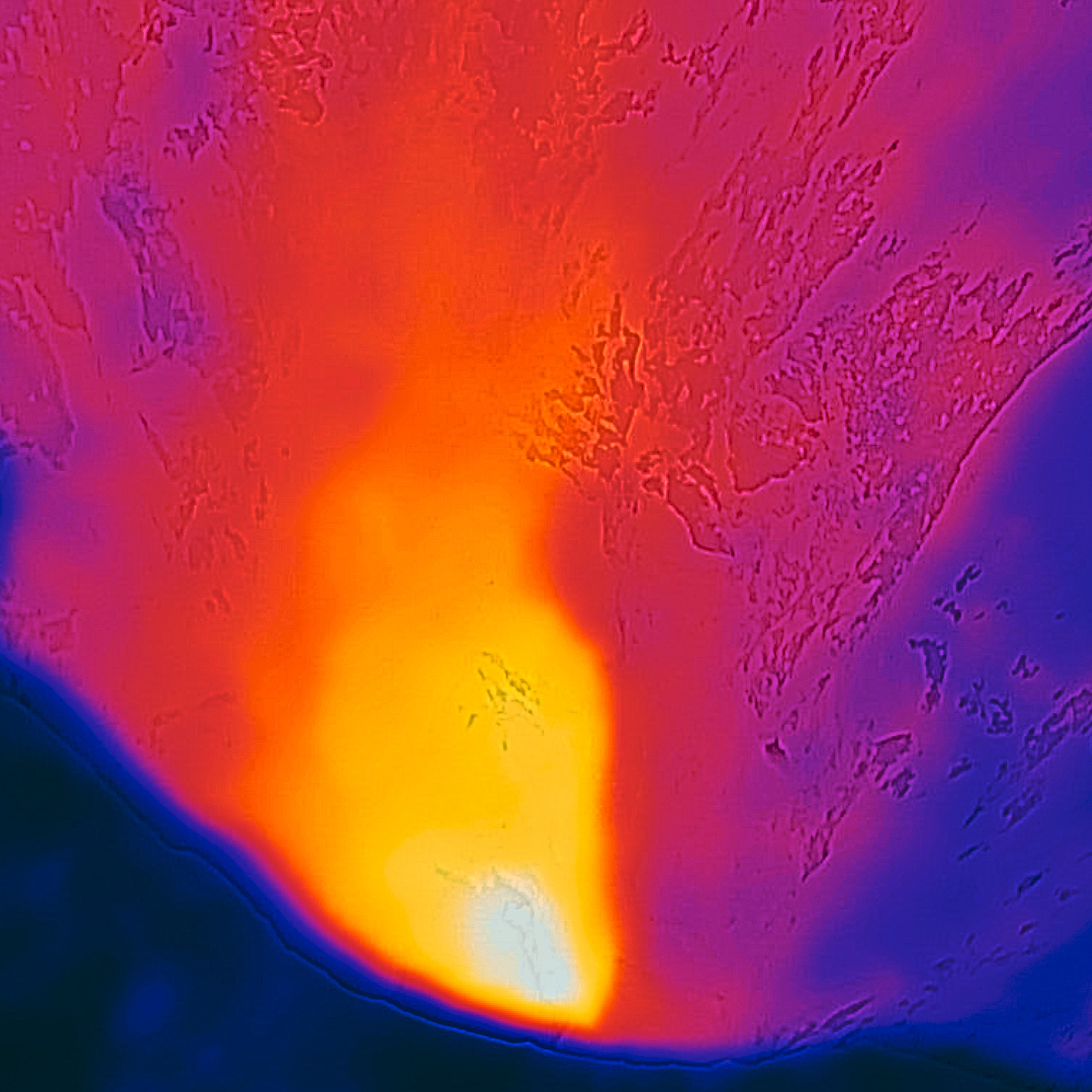 Ex humus. Alexander Nikolsky