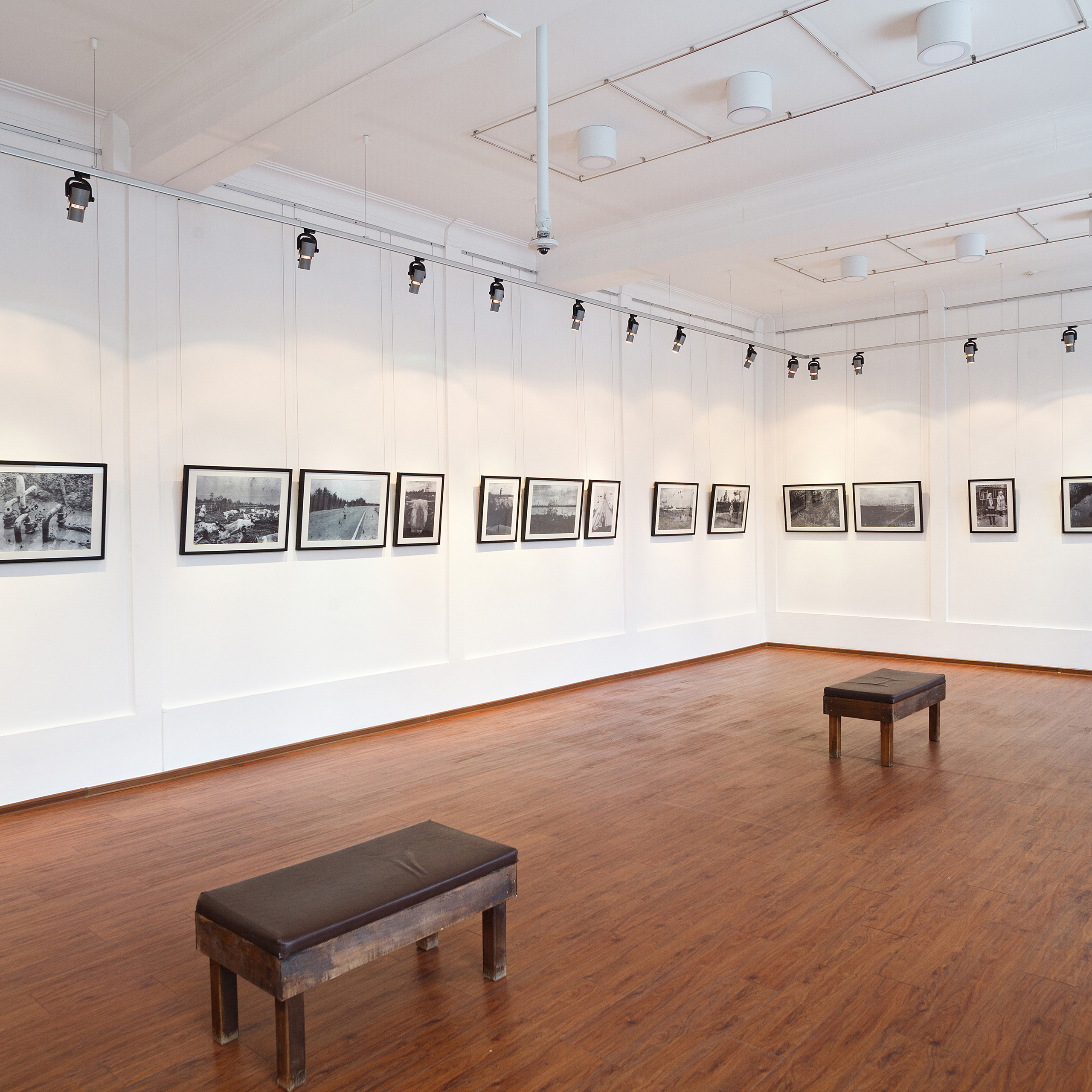 Curatorial. Alexander Nikolsky