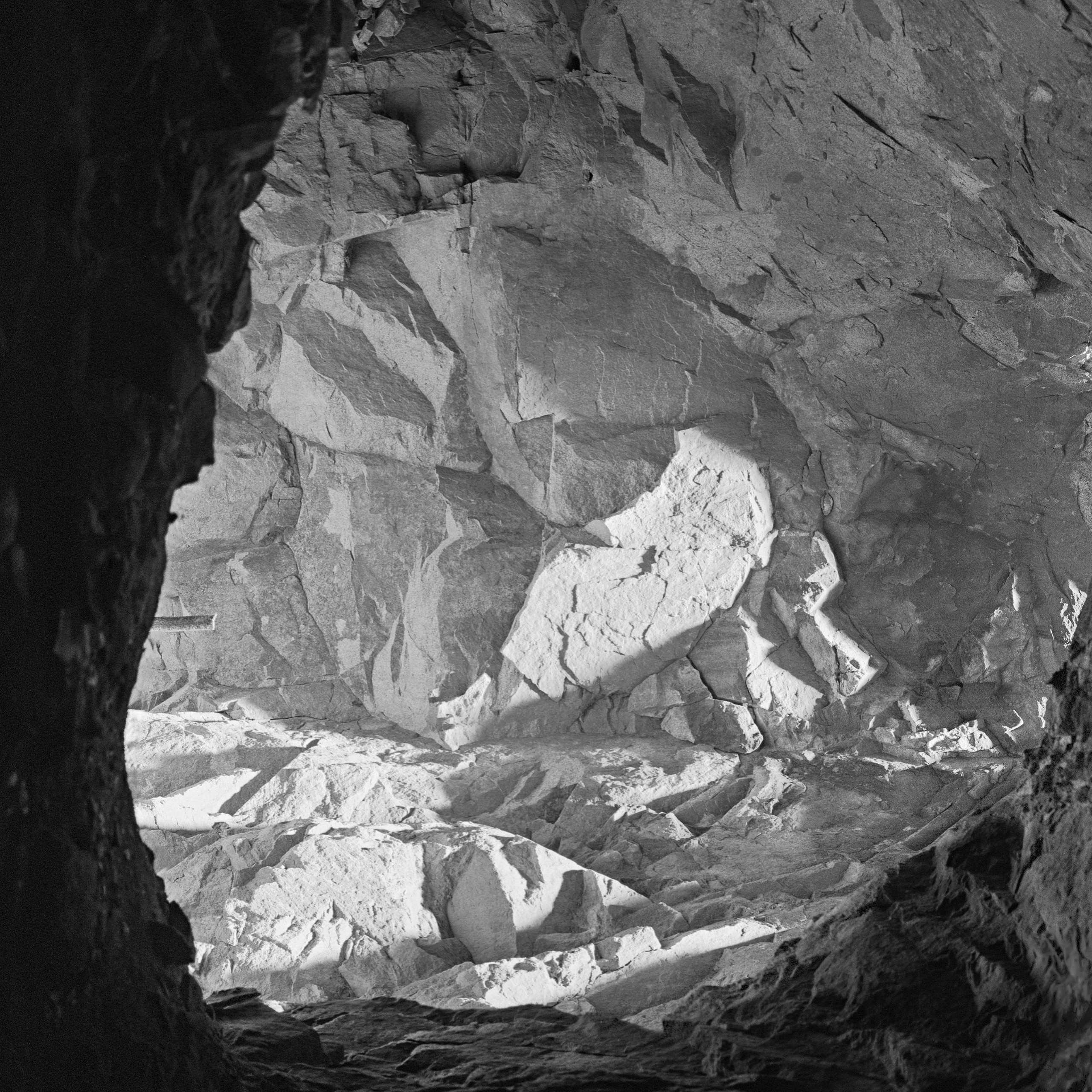 Ex humus. Alexander Nikolsky