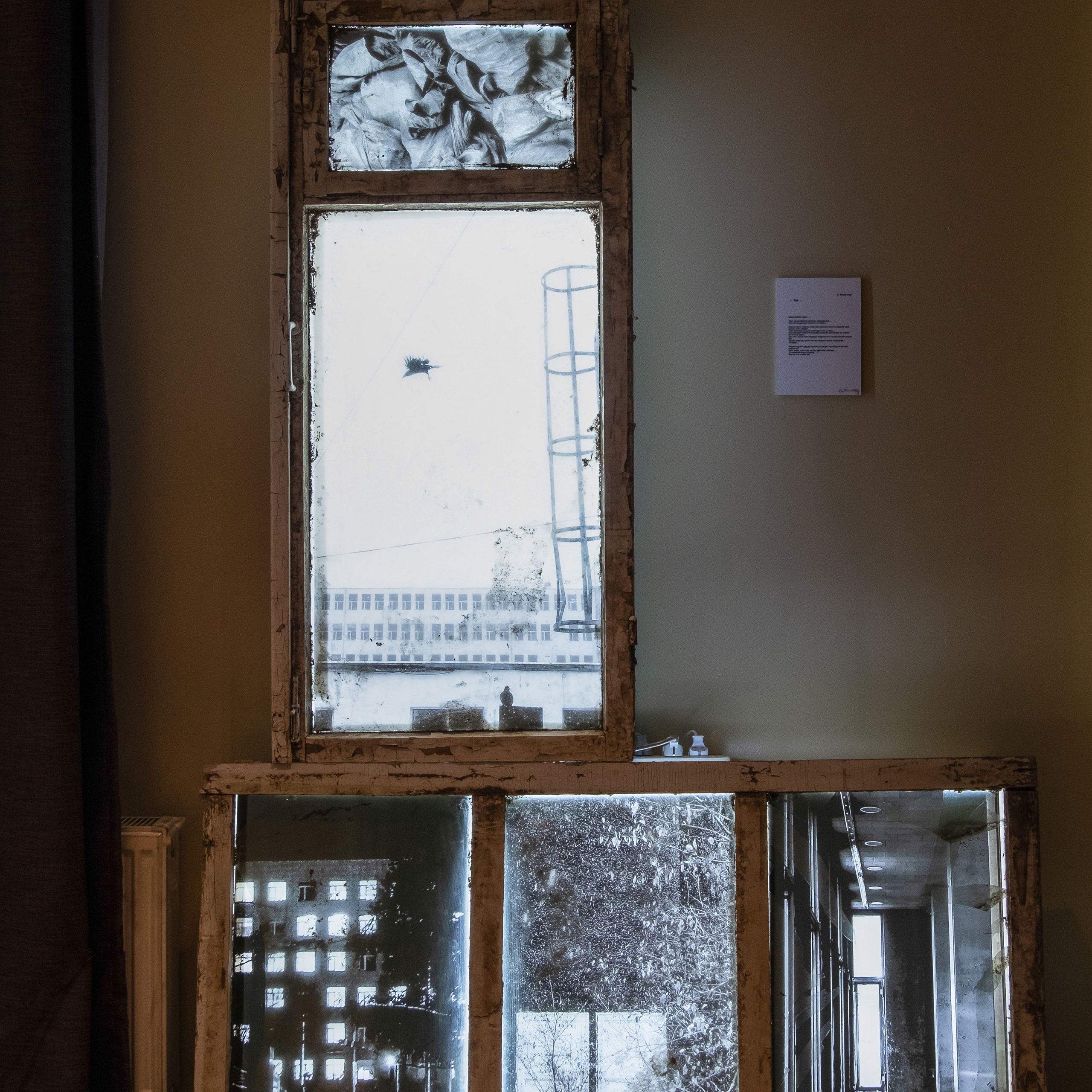 Curatorial. Alexander Nikolsky