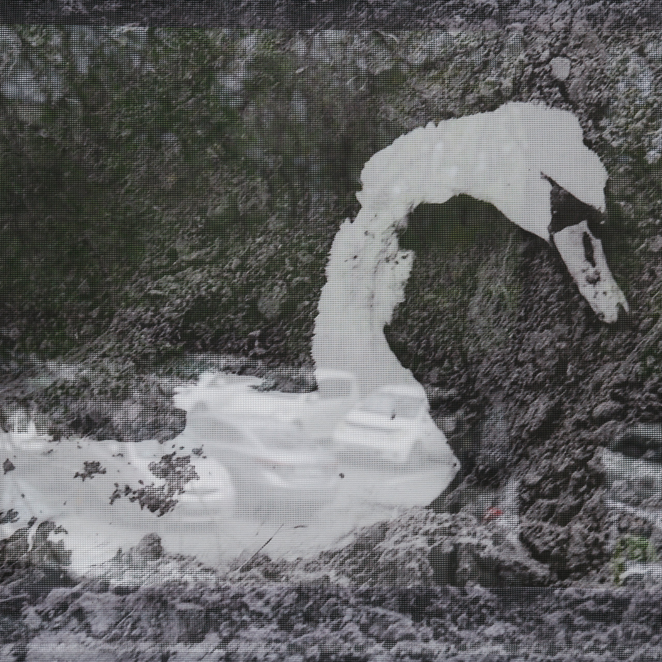 Curatorial. Alexander Nikolsky