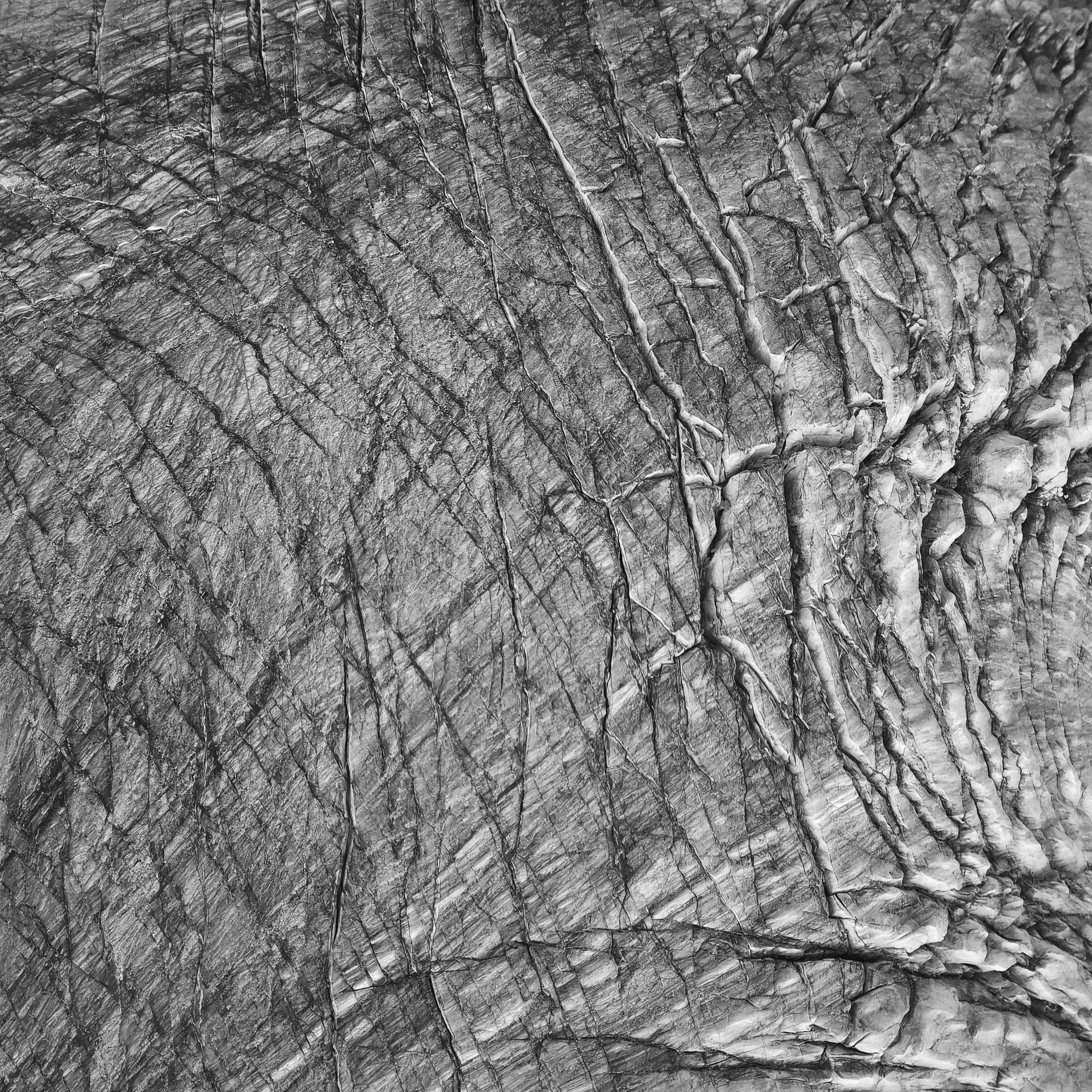 Ex humus. Alexander Nikolsky