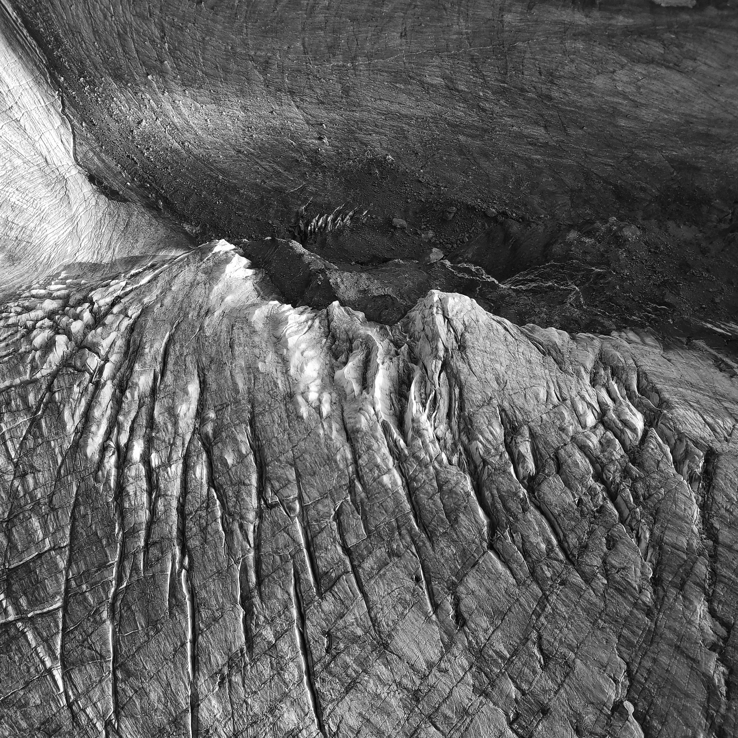 Ex humus. Alexander Nikolsky