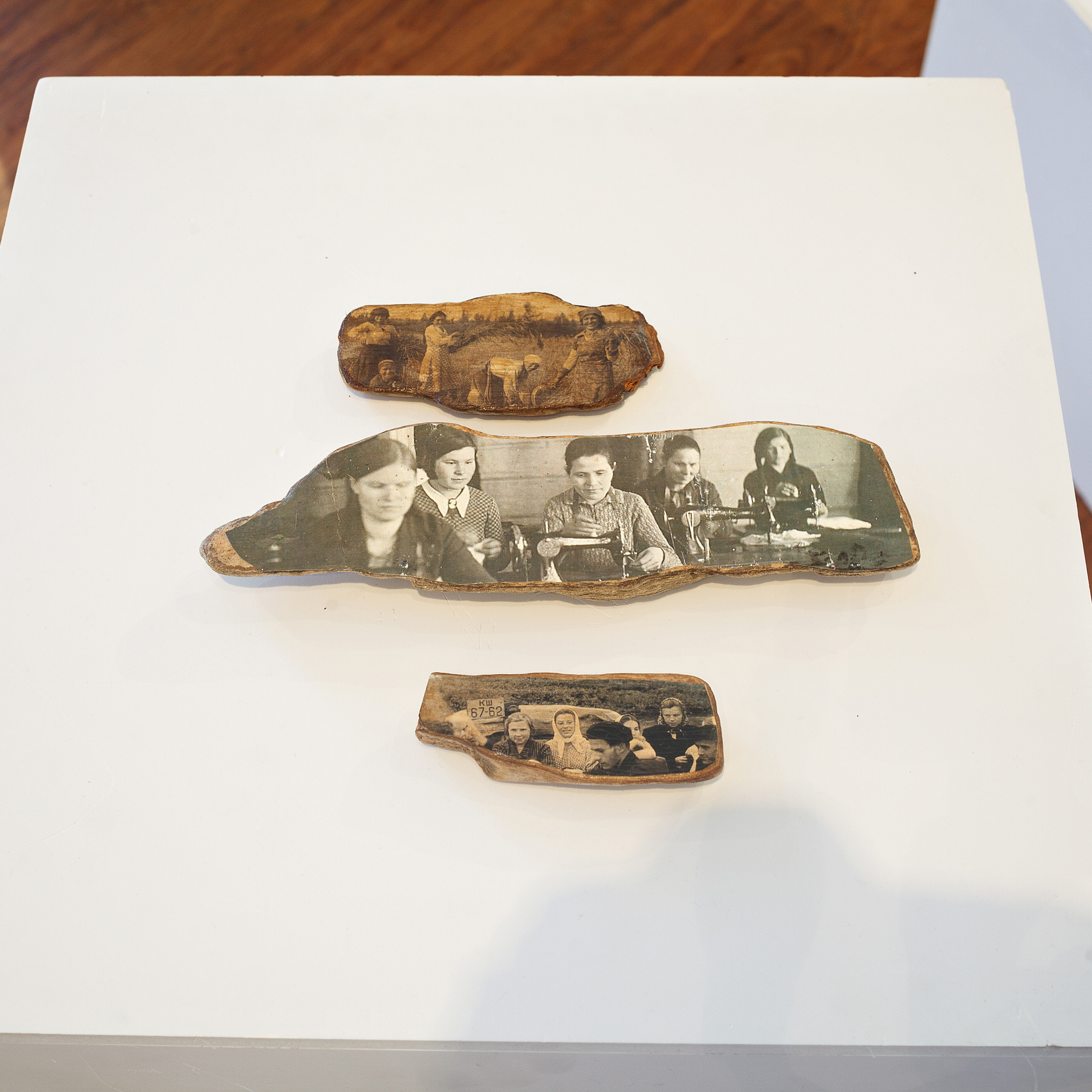 Curatorial. Alexander Nikolsky