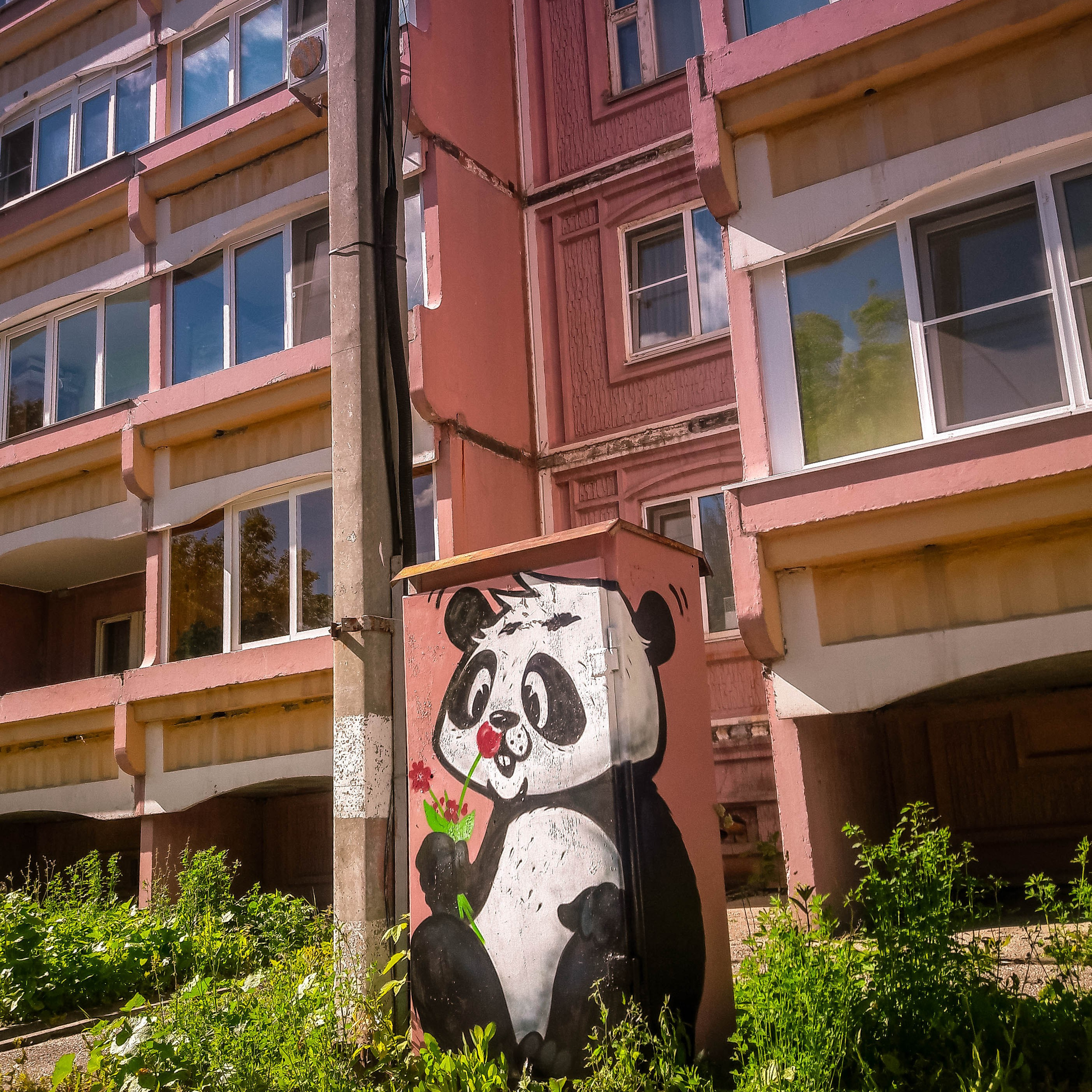 Graffiti. Alexander Stan Shimanov