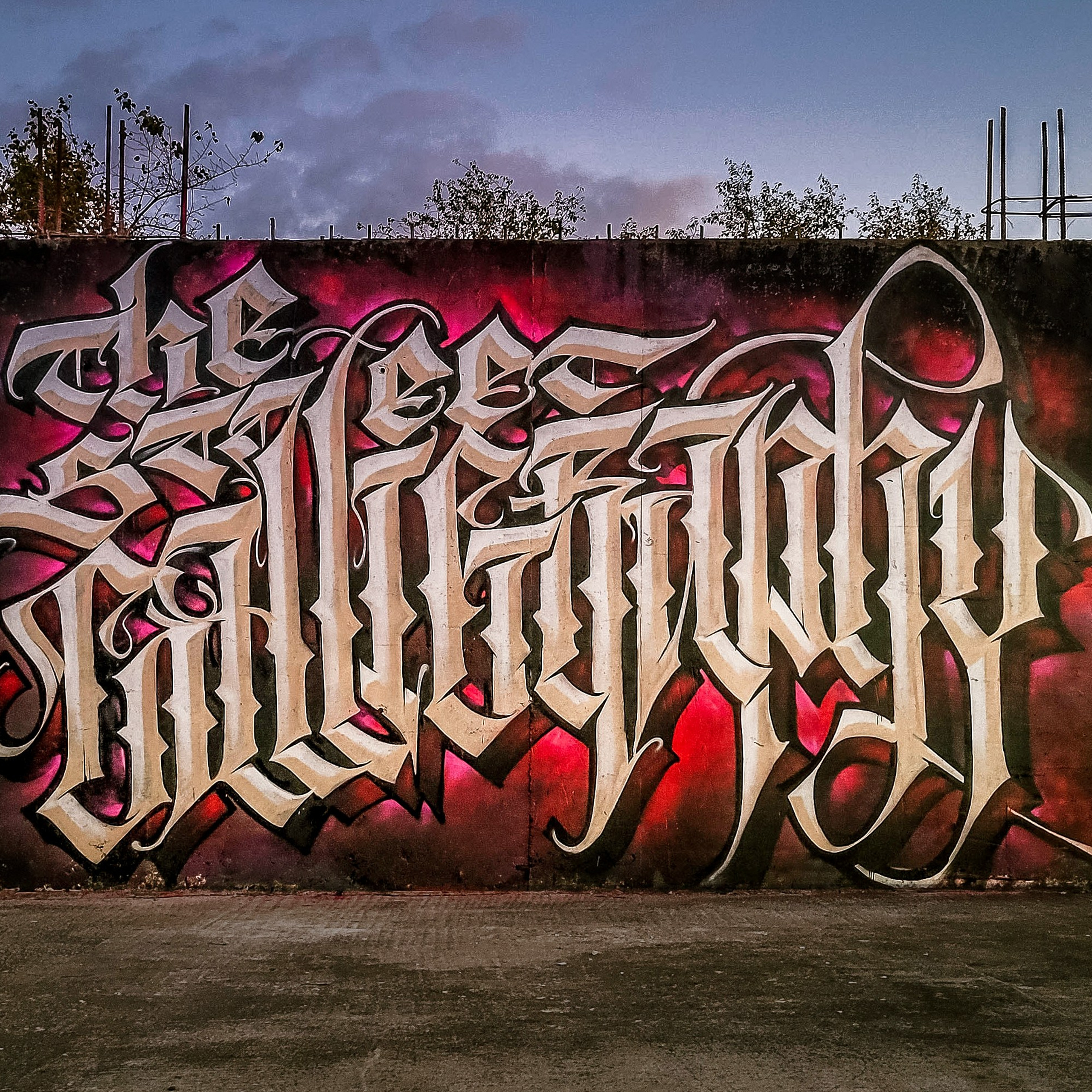 Graffiti. Alexander Stan Shimanov