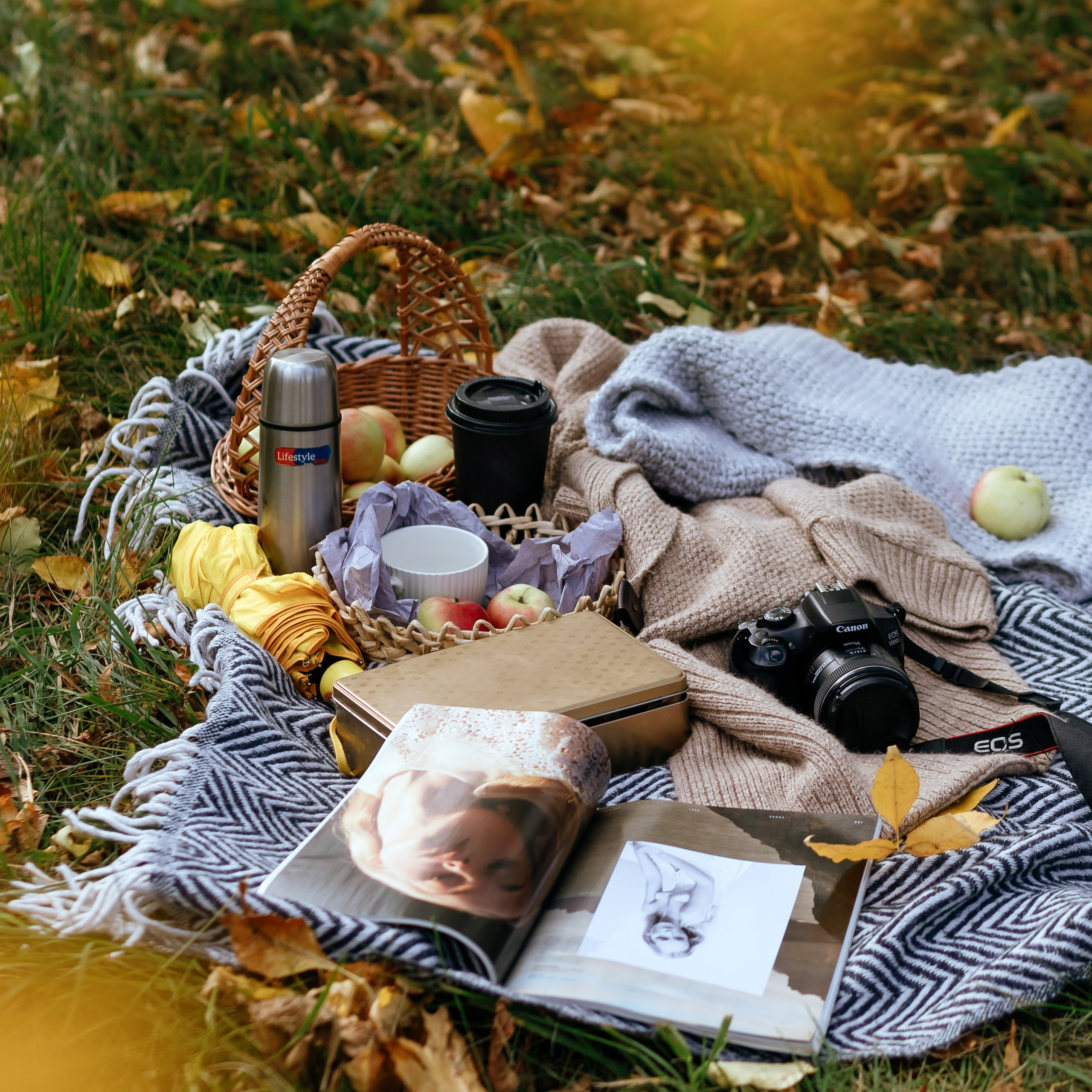 Осенний пикник