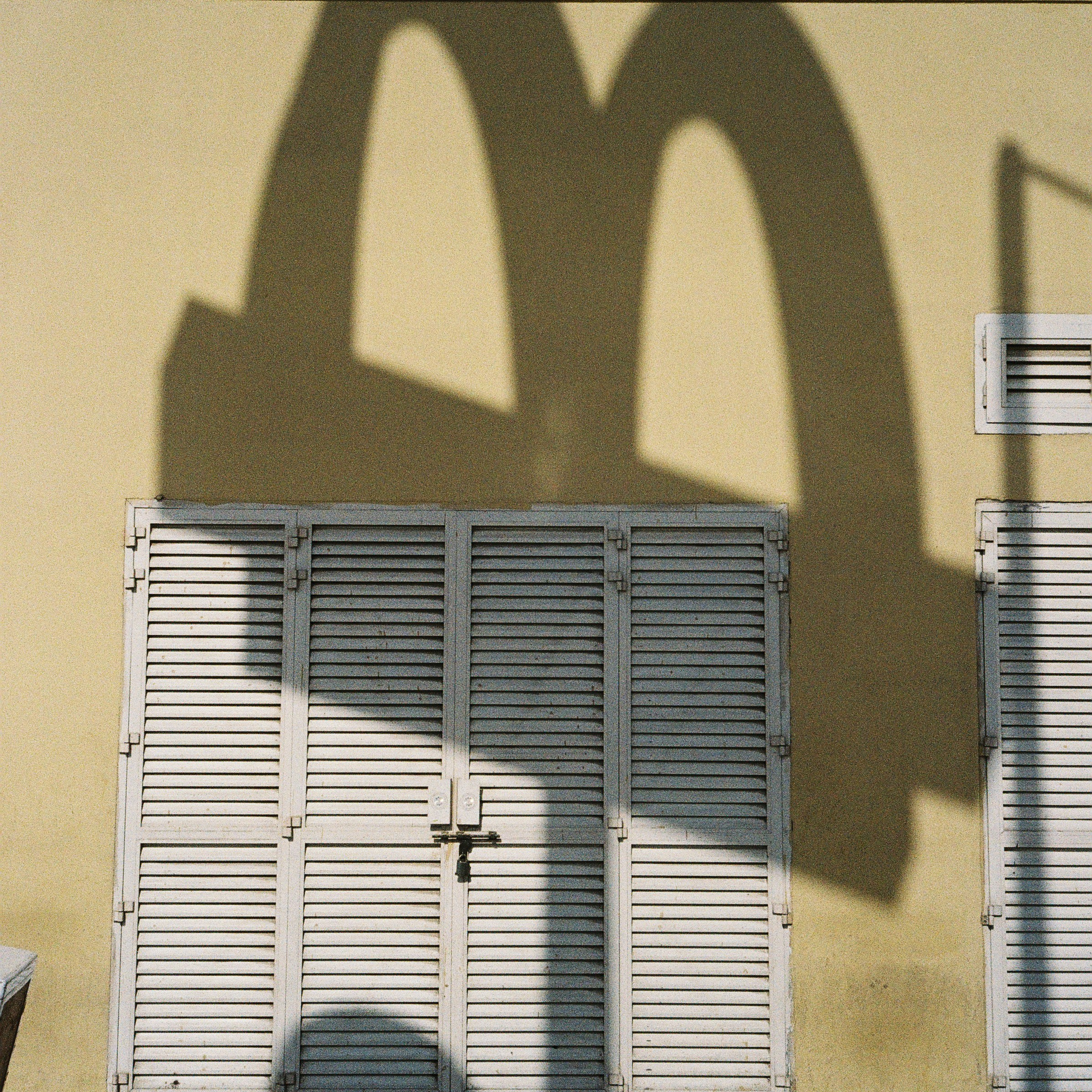 shadows