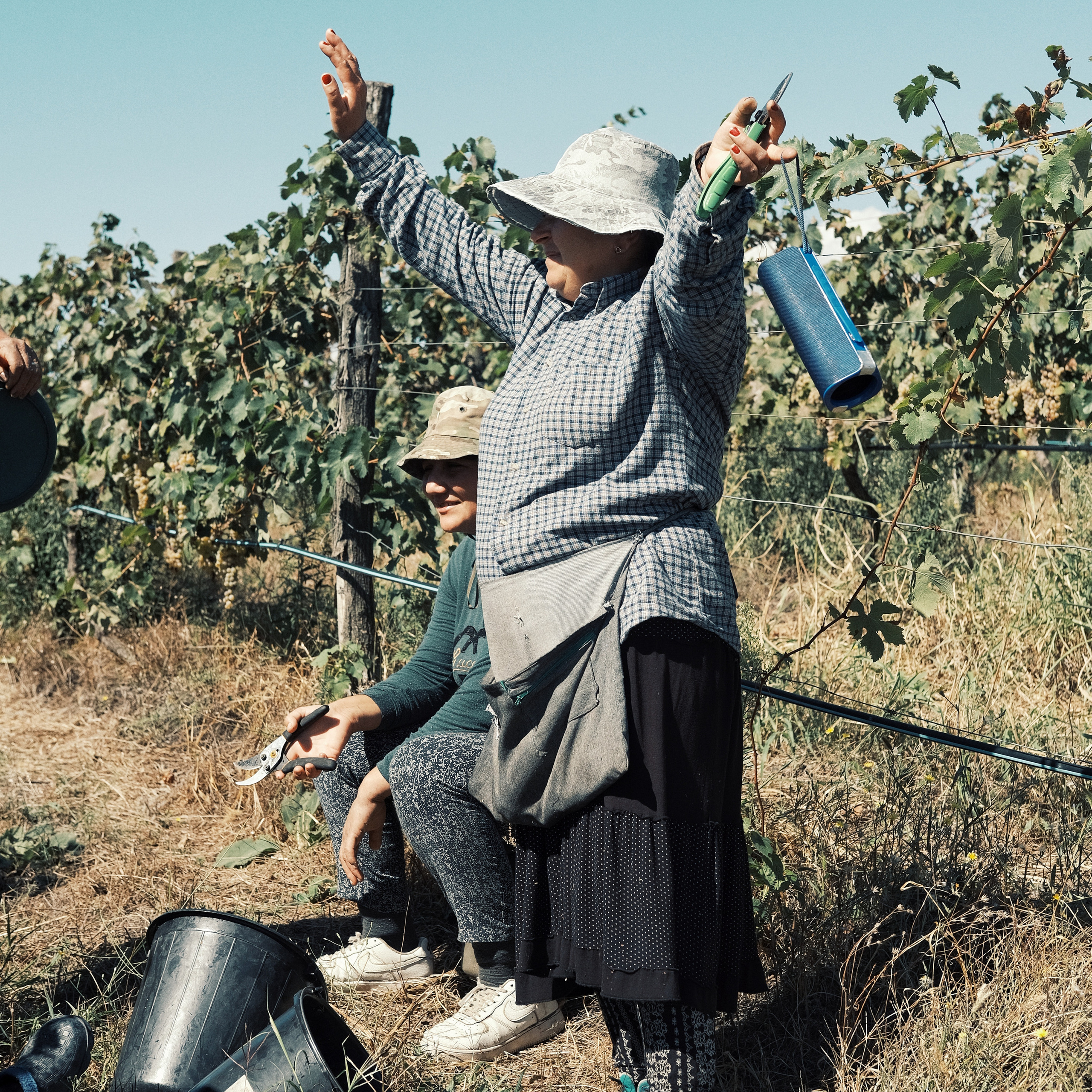 Грузия 2022. Фотограф и видеограф Анна Жагорина