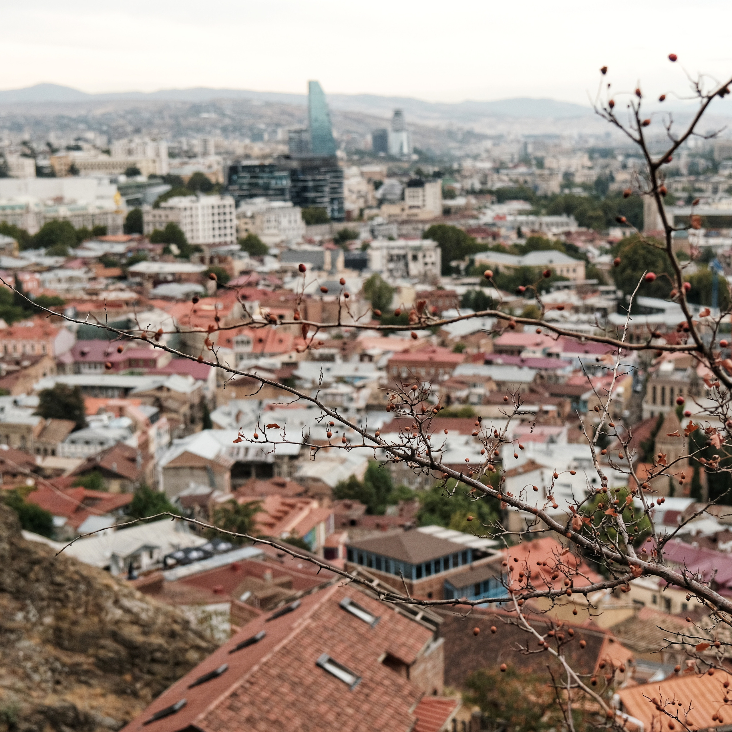 Грузия 2022. Фотограф и видеограф Анна Жагорина