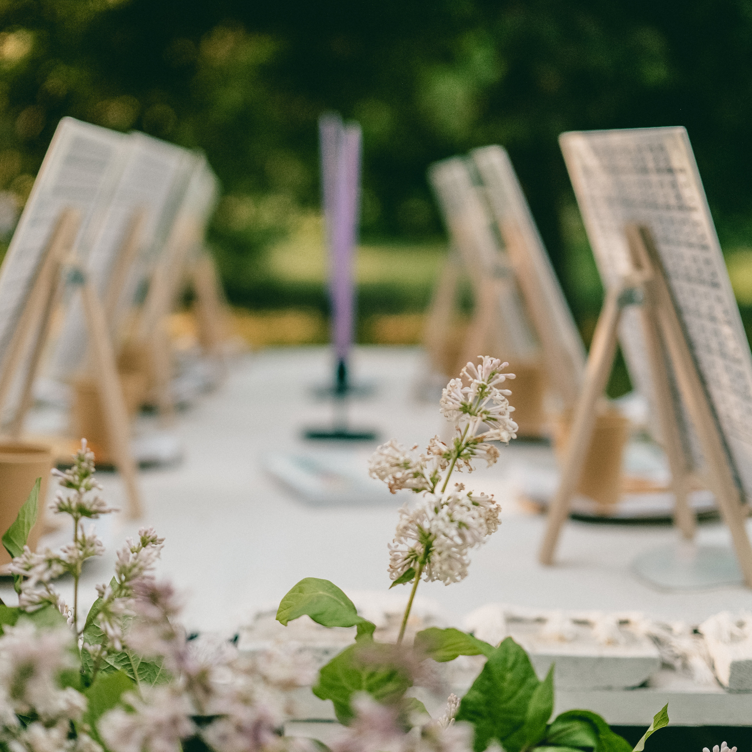 Арт-пикник Оксаны Ситниковой. Фотограф и видеограф Анна Жагорина