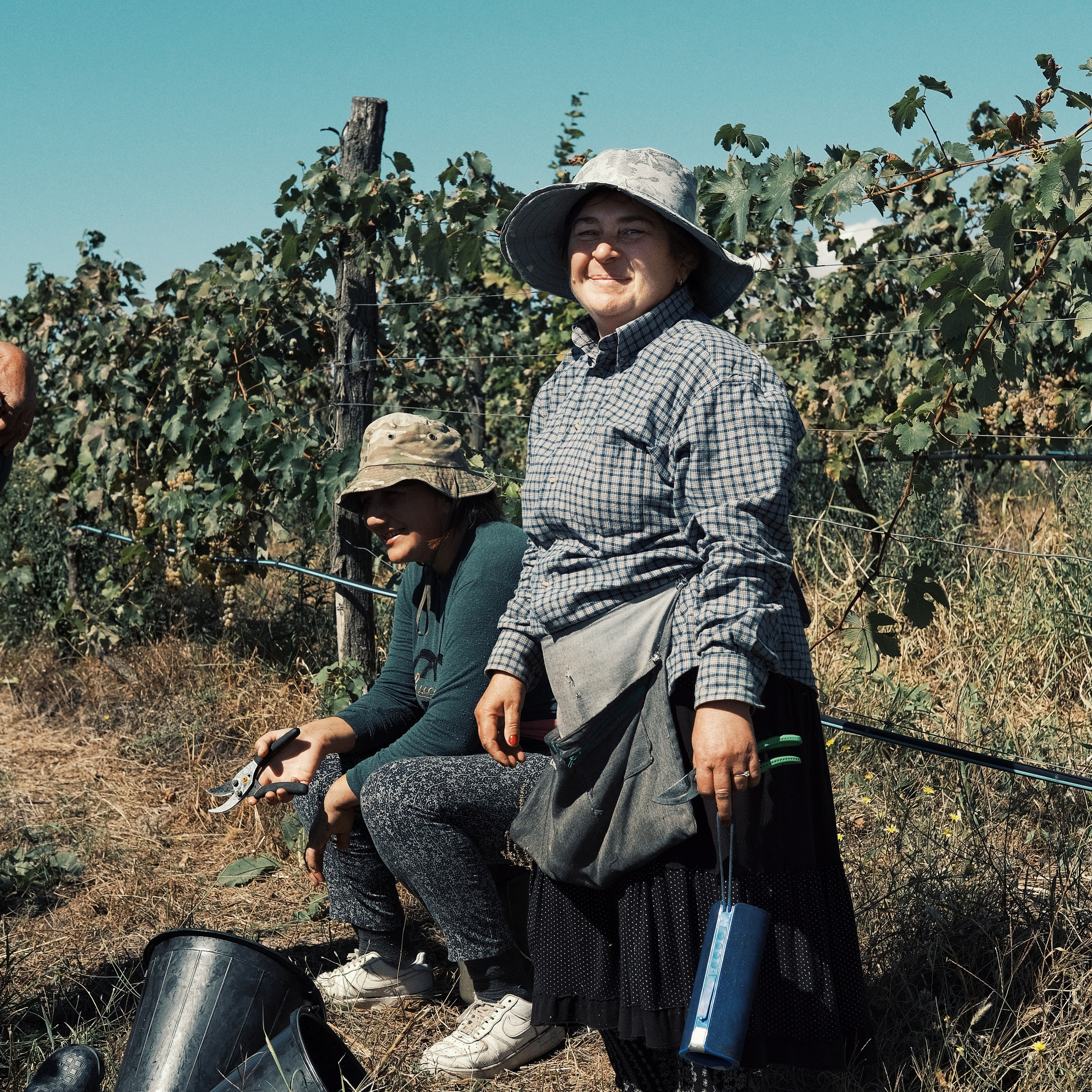 Грузия 2022. Фотограф и видеограф Анна Жагорина