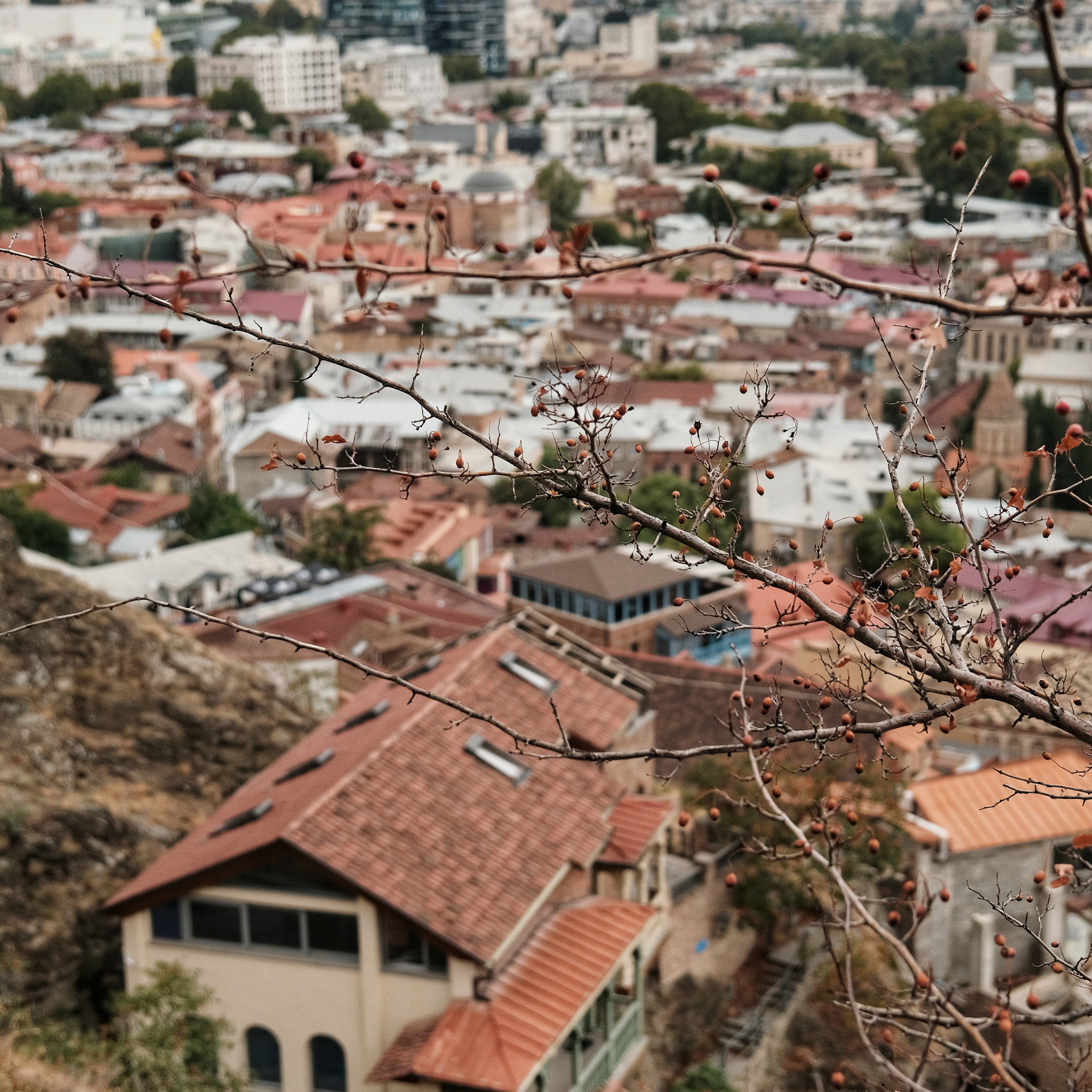 Грузия 2022. Фотограф и видеограф Анна Жагорина