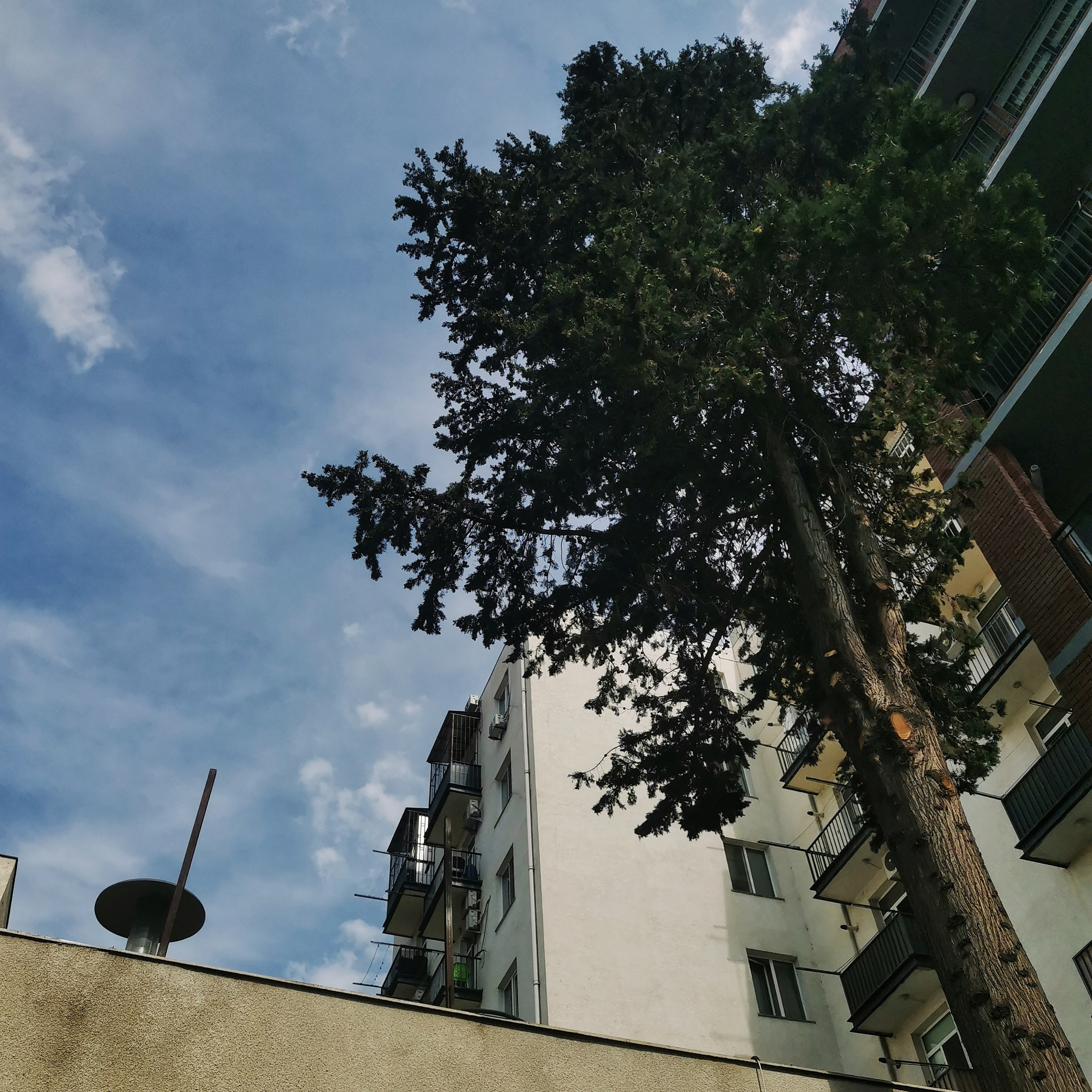 Грузия 2022. Фотограф и видеограф Анна Жагорина