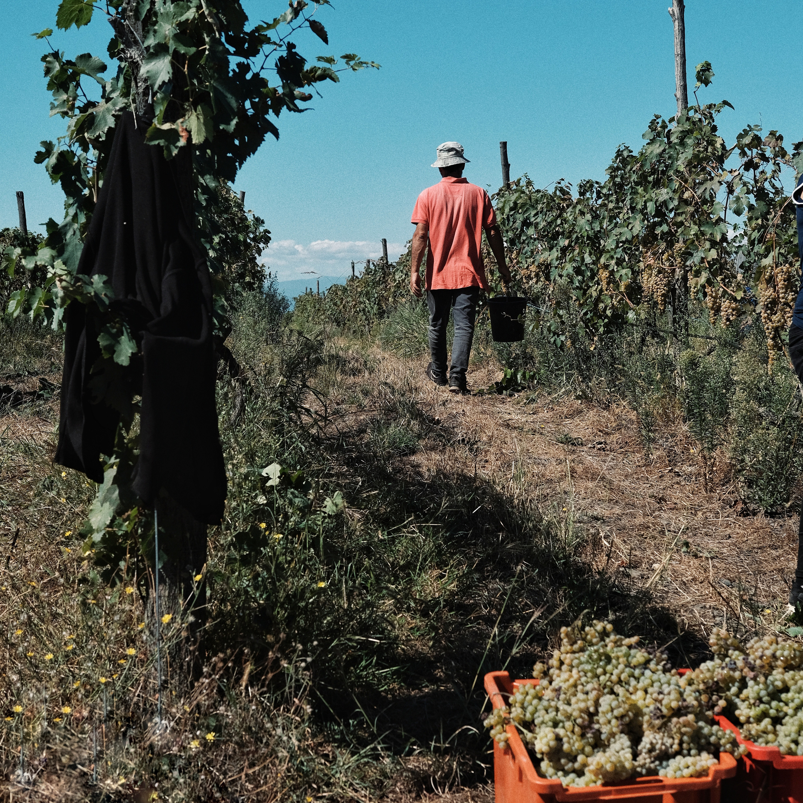 Грузия 2022. Фотограф и видеограф Анна Жагорина